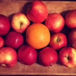 An Orange in the Apple Barrel