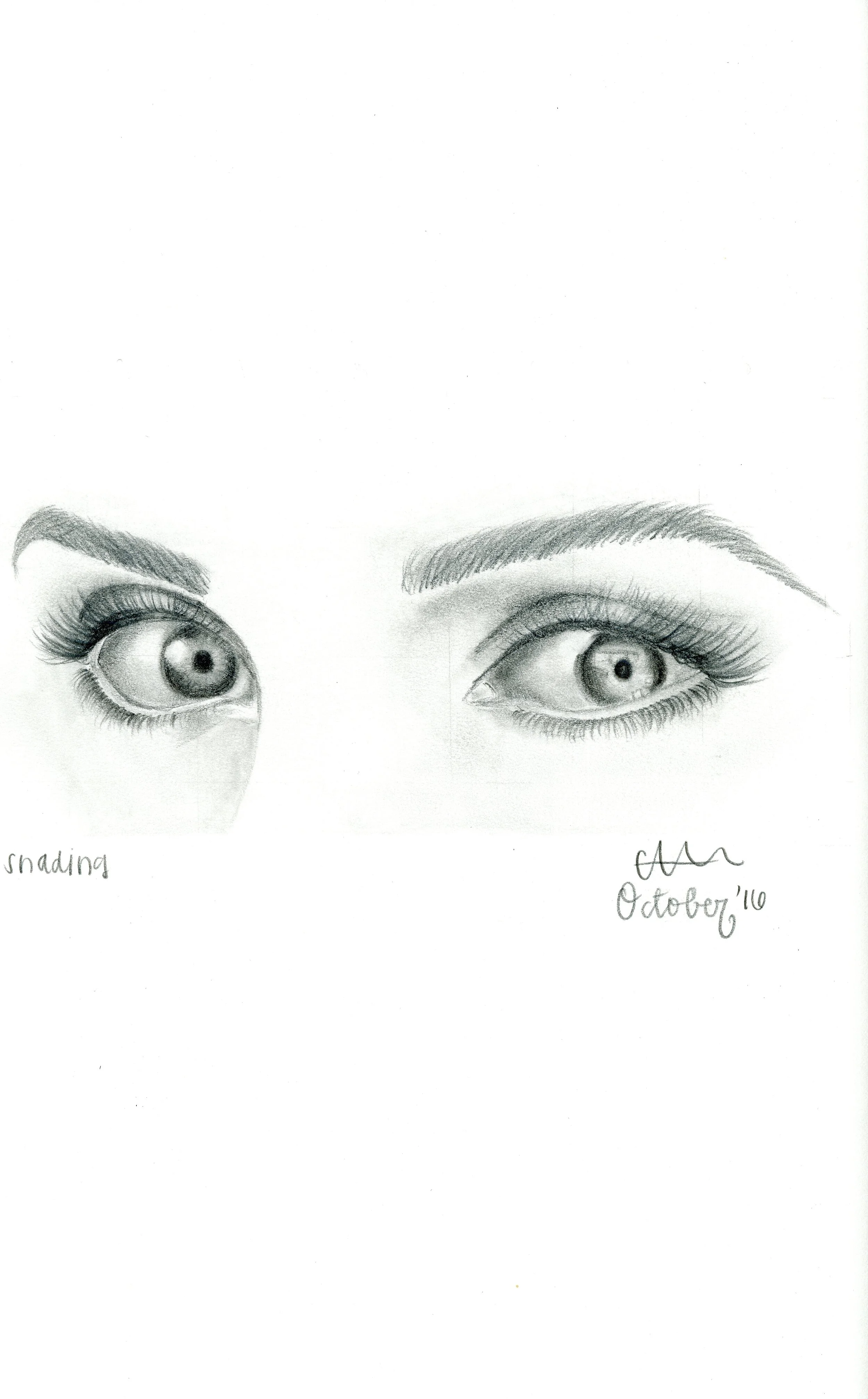 eyes.jpg