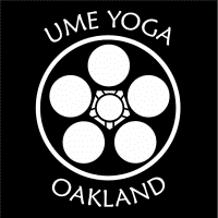 New Year: Intention Setting Flow