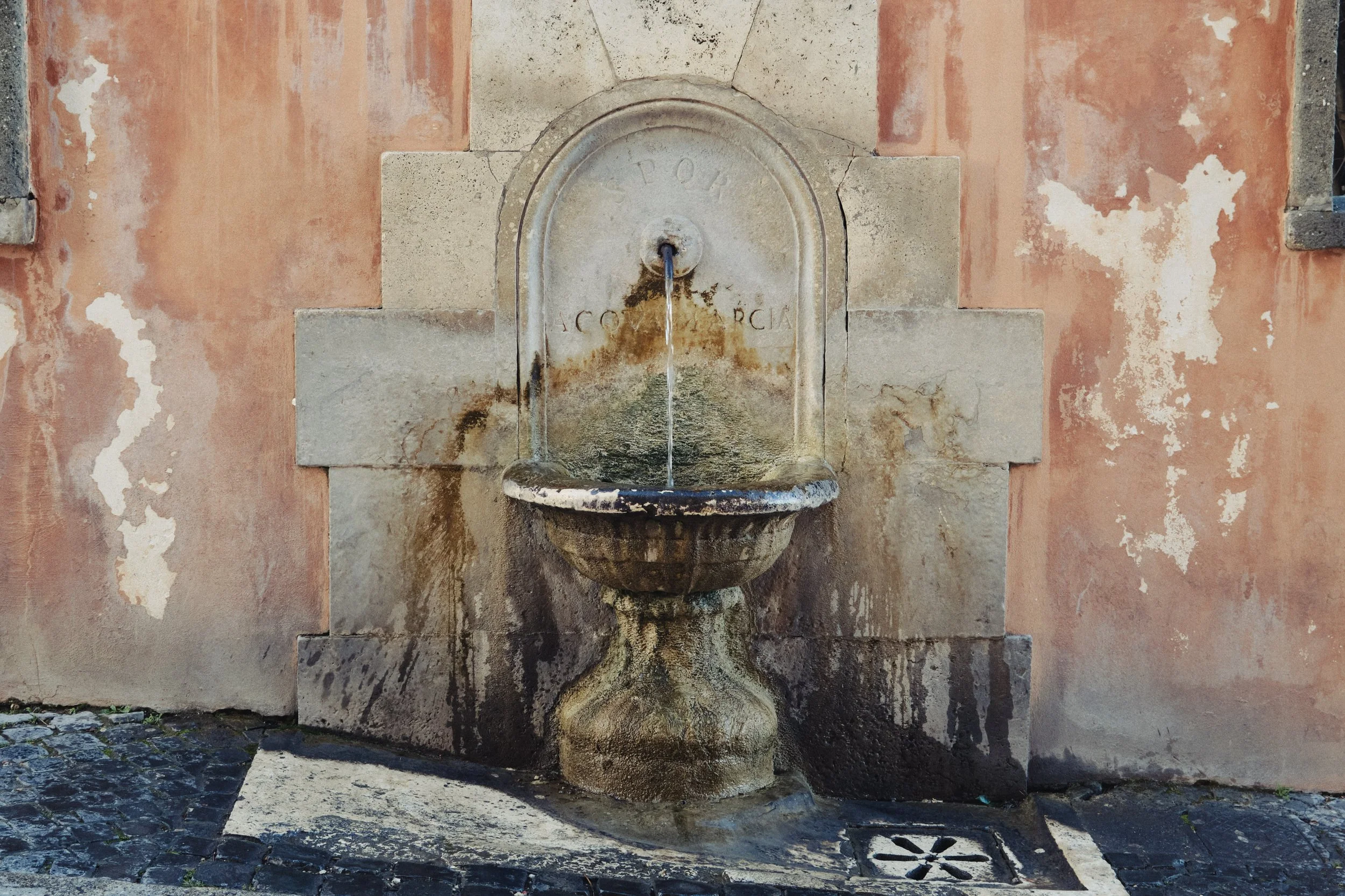DSCF0415.jpg