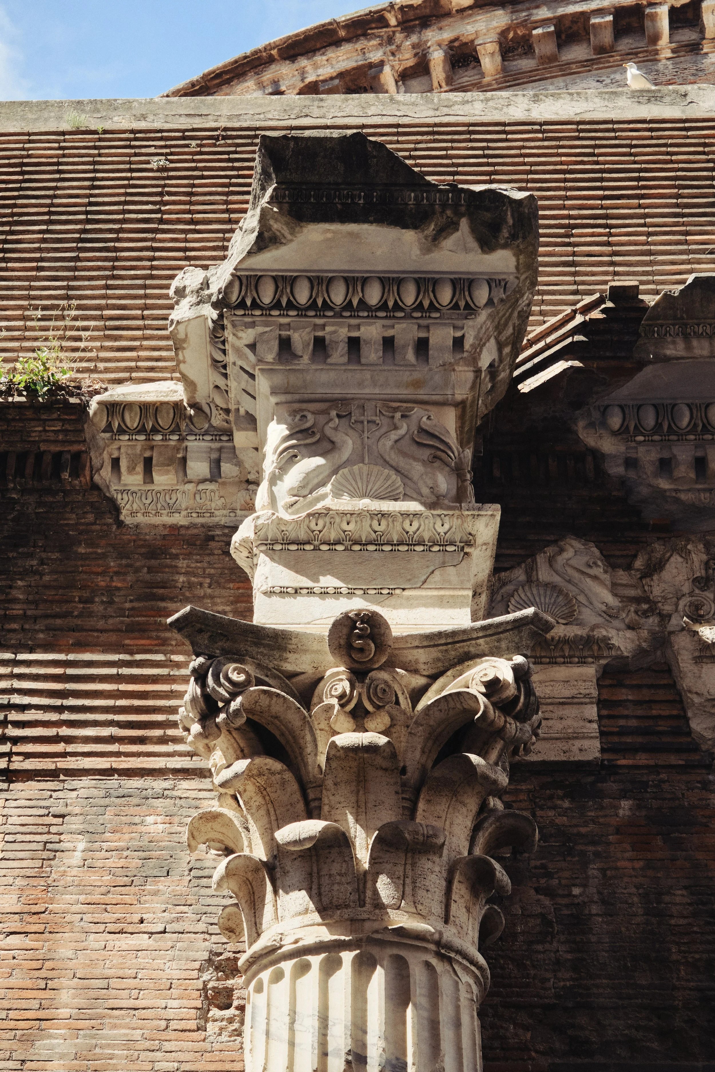 DSCF0478.jpg