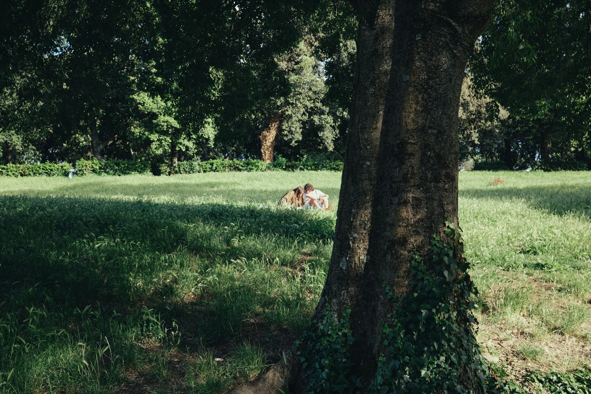 DSCF0747.jpg