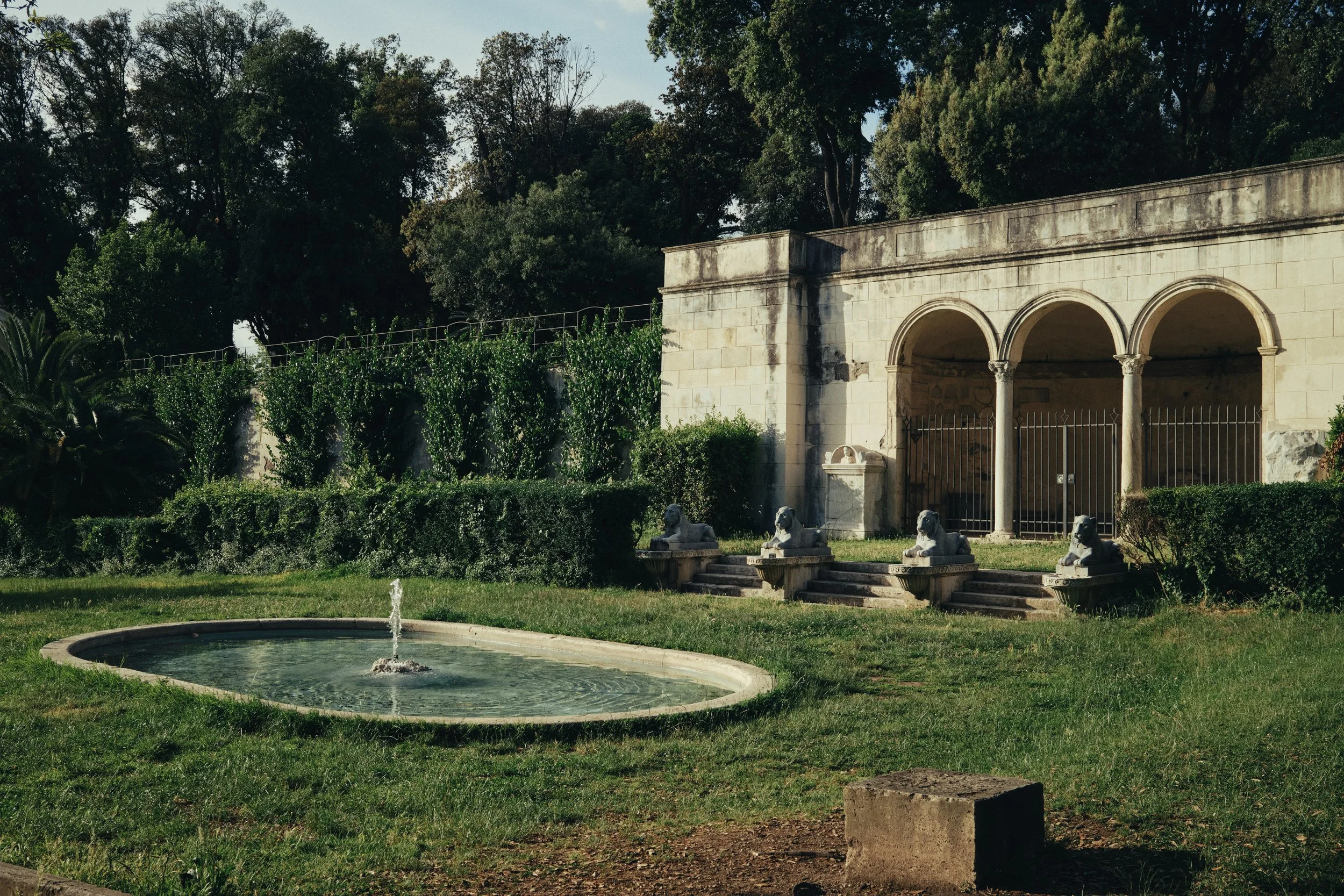 DSCF0736.jpg