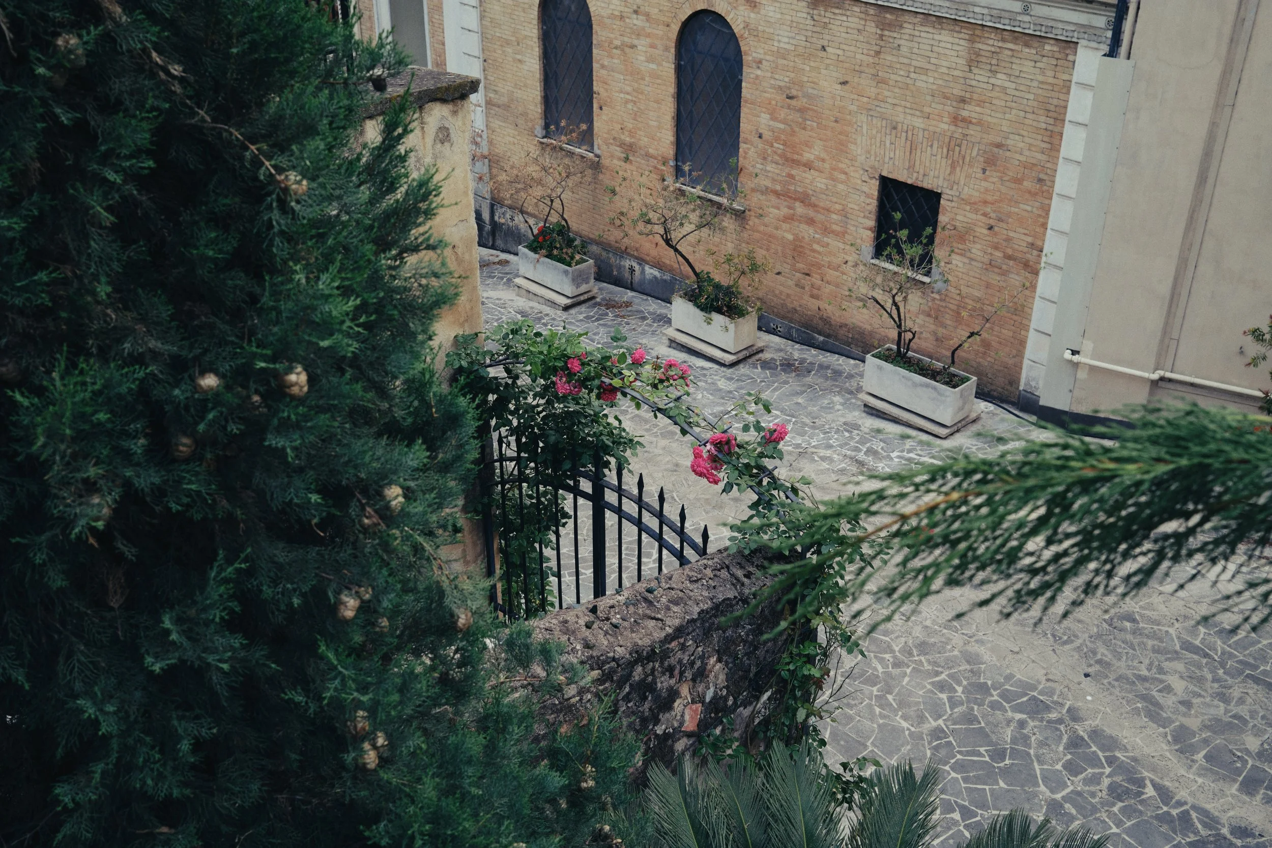 DSCF0792.jpg