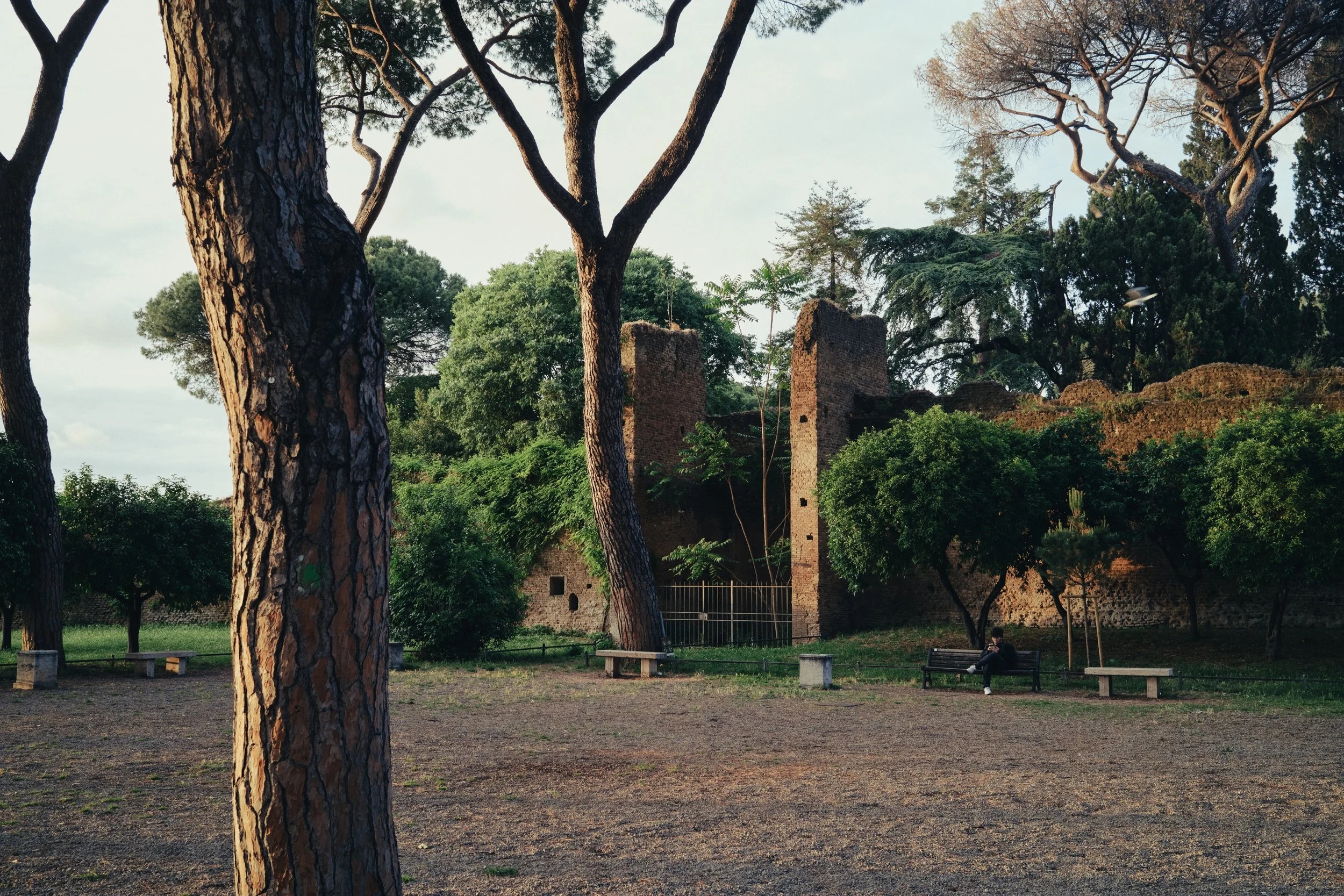 DSCF0805.jpg