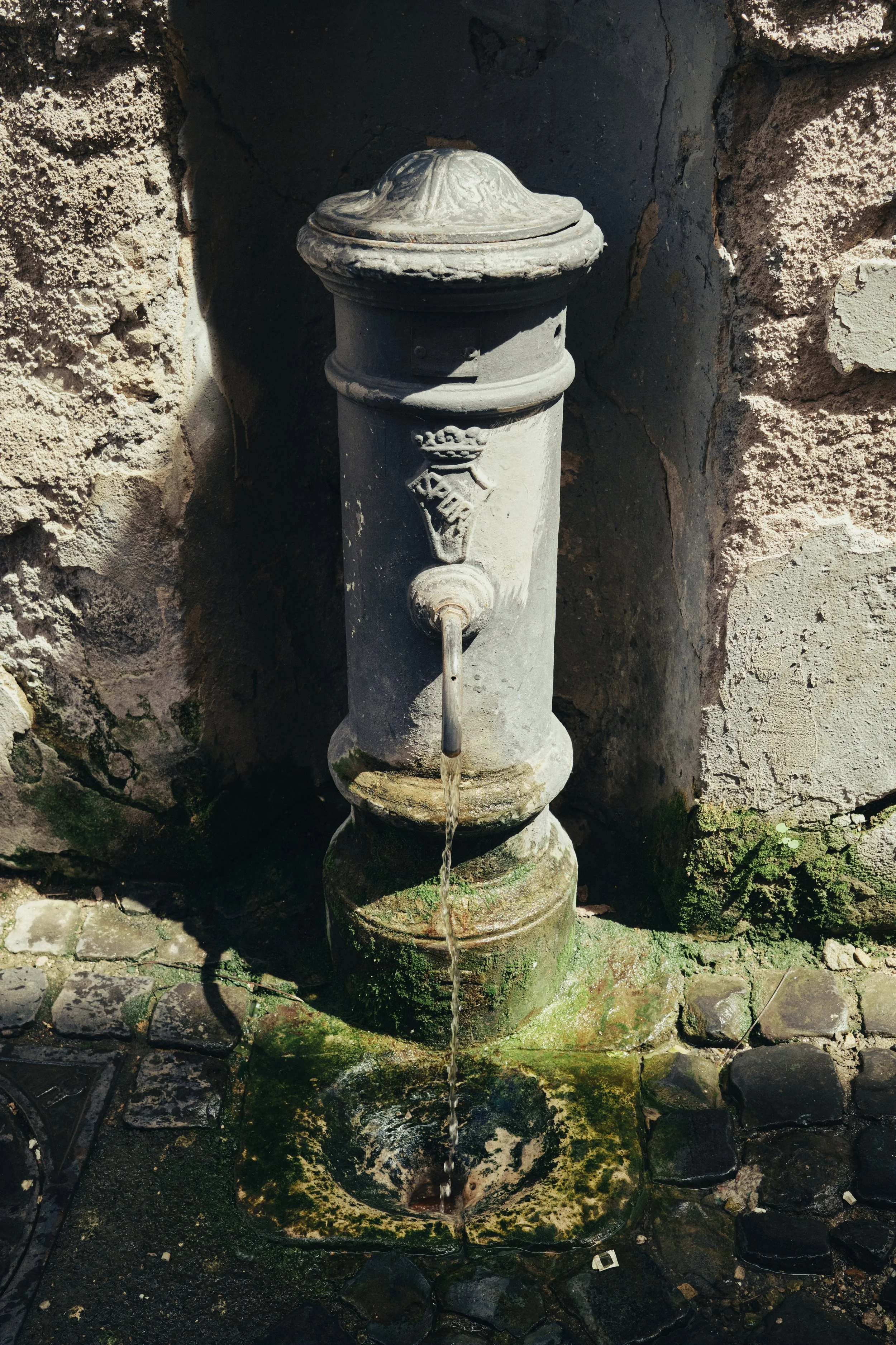 DSCF0879.jpg