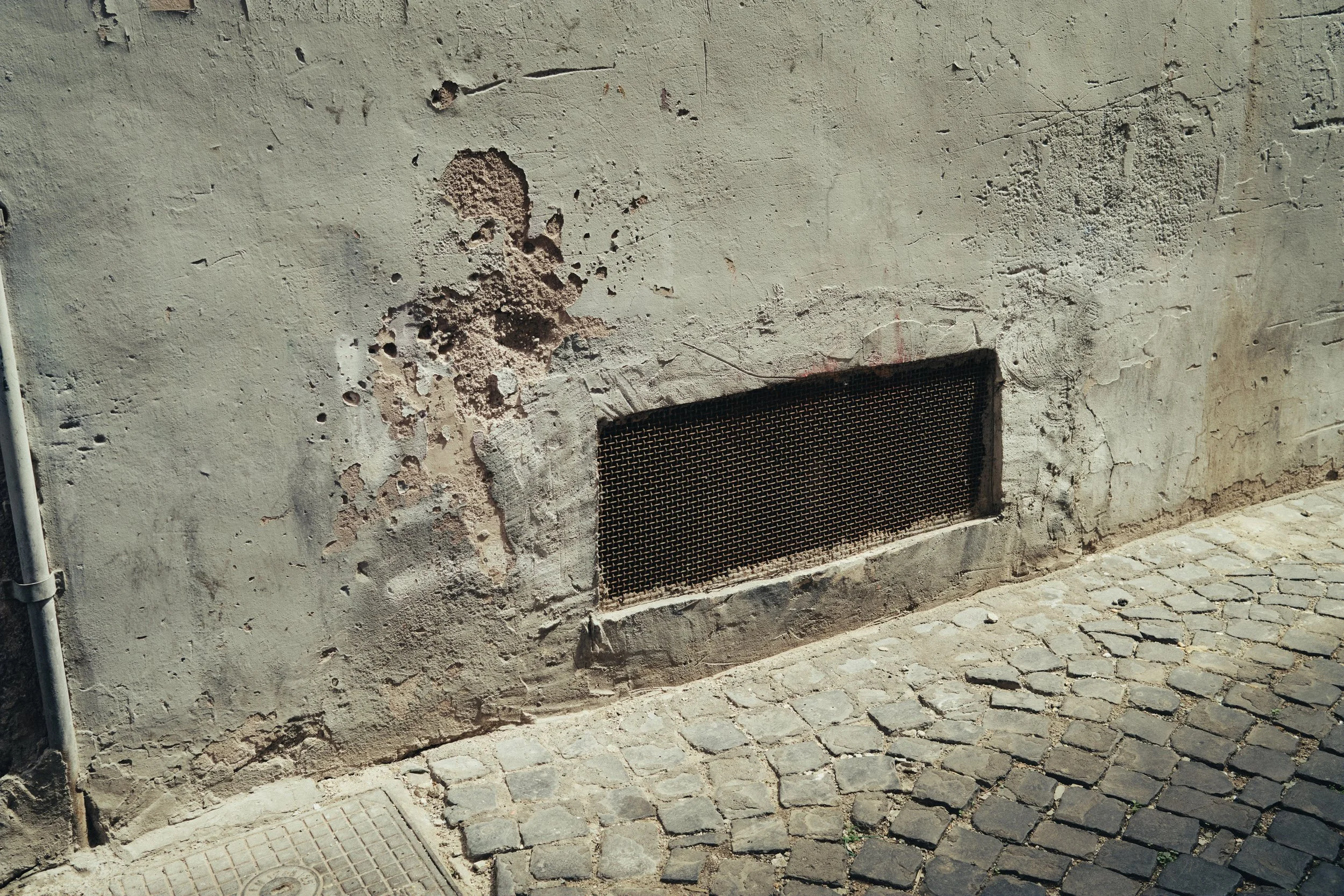 DSCF0890.jpg