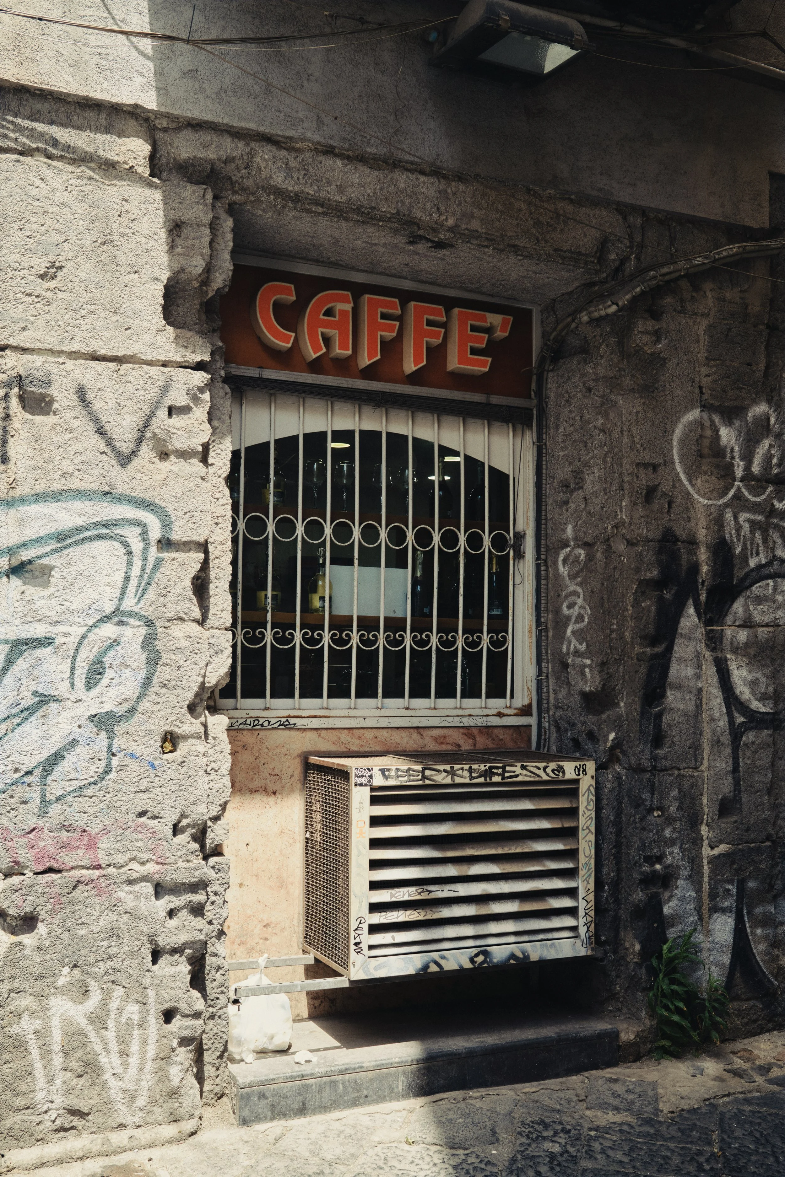 DSCF1168.jpg