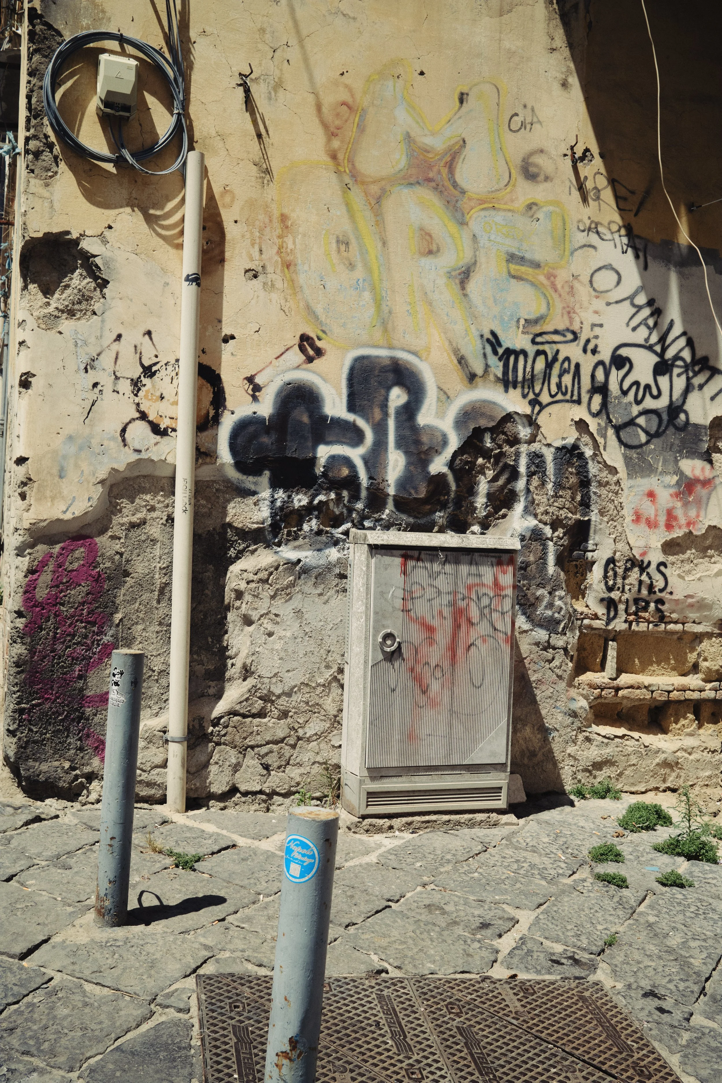 DSCF1270.jpg