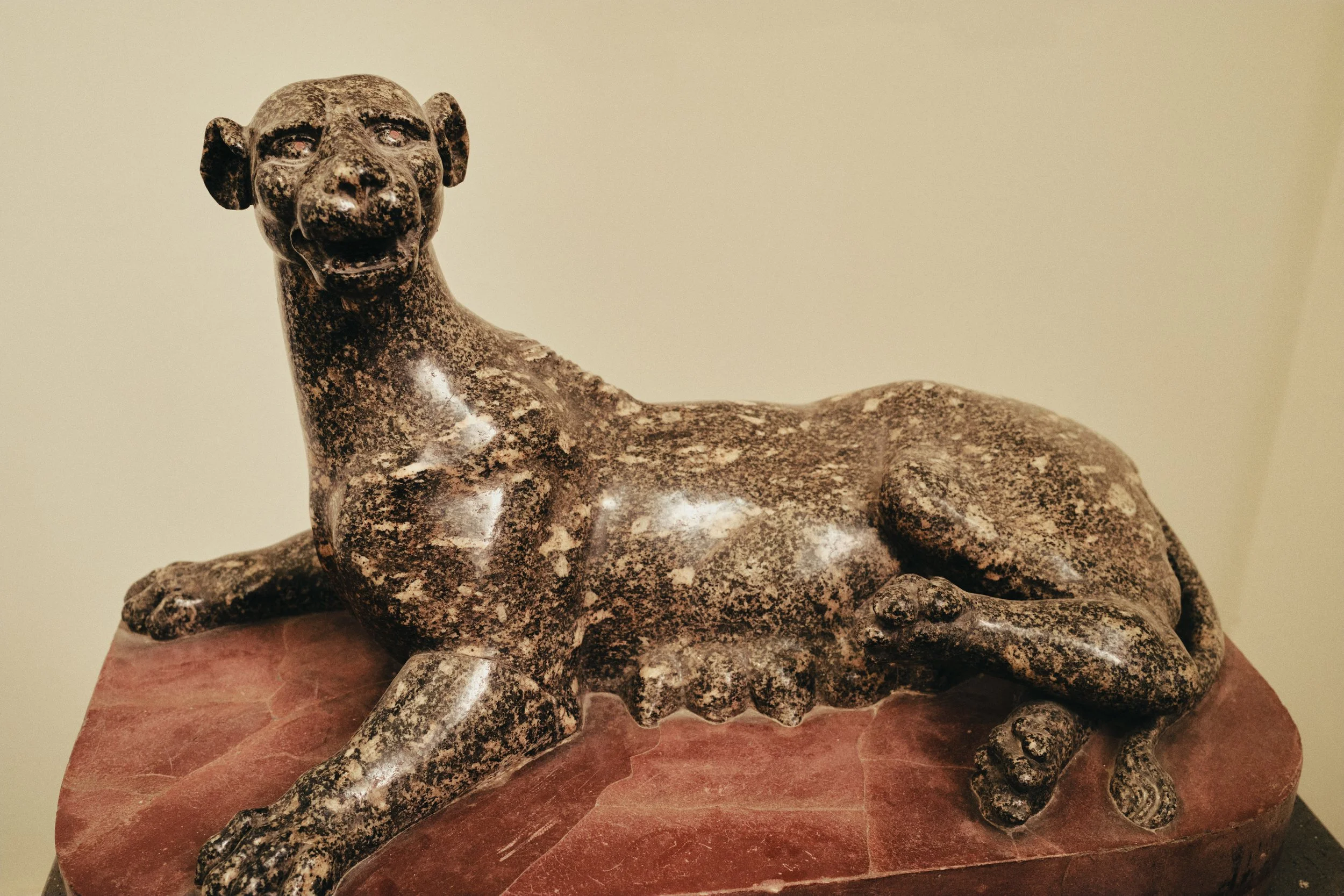 DSCF1430.jpg