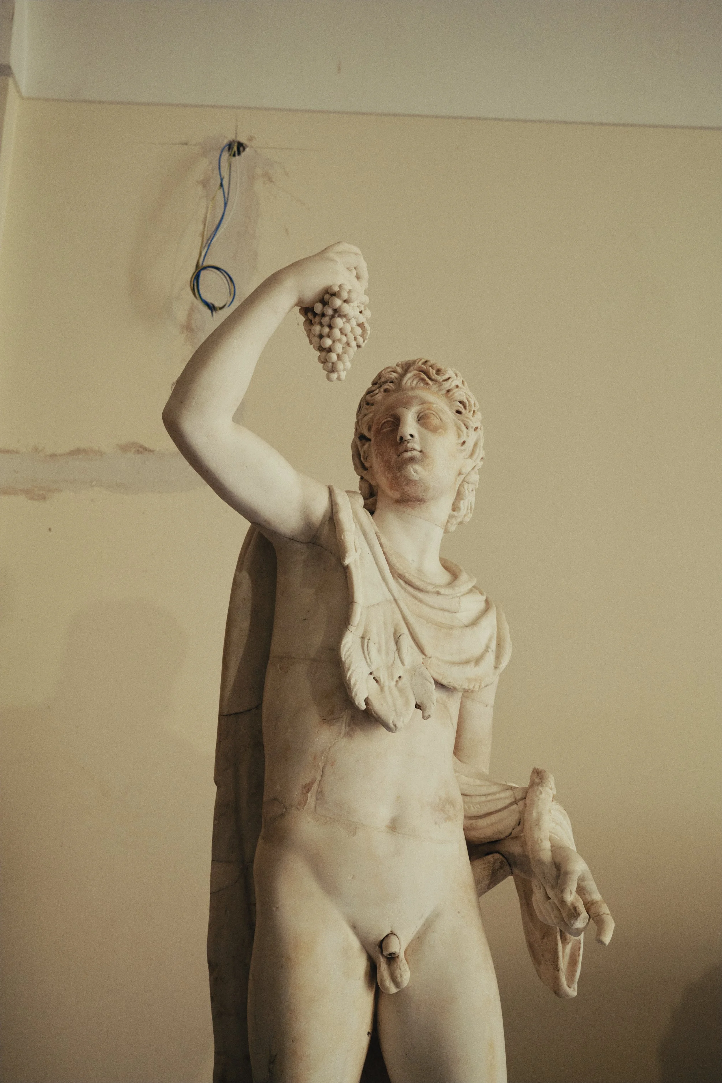 DSCF1443.jpg