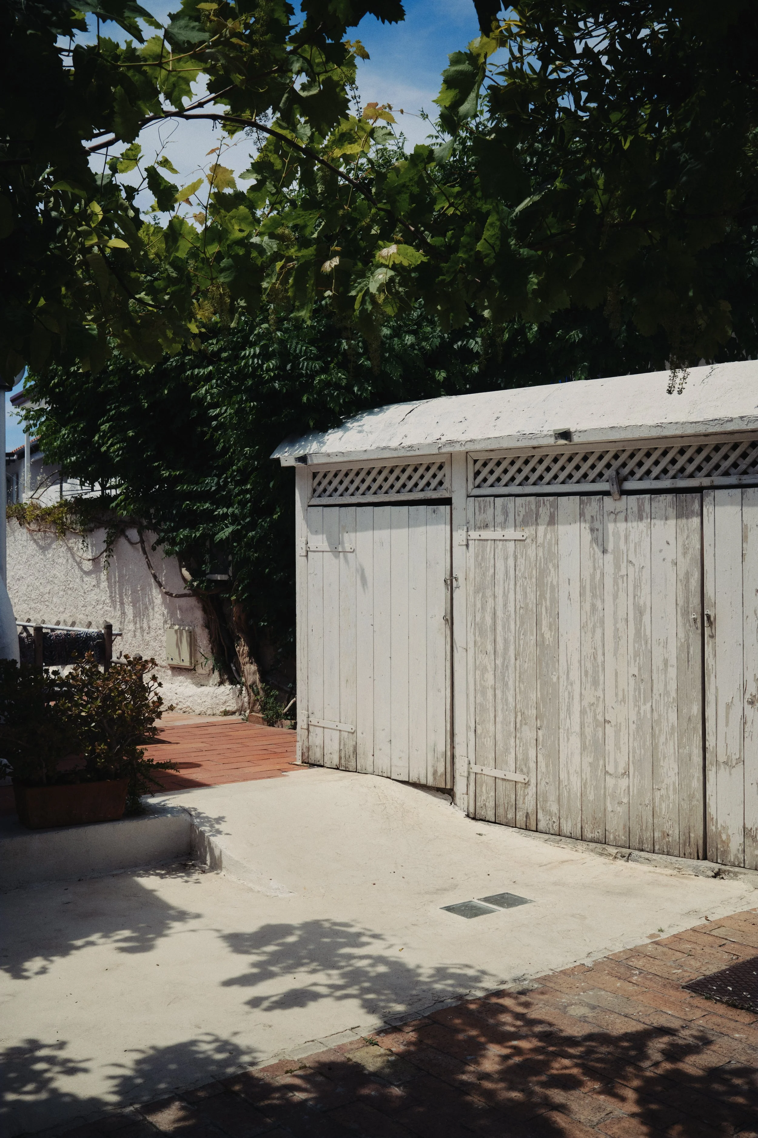 DSCF1605.jpg