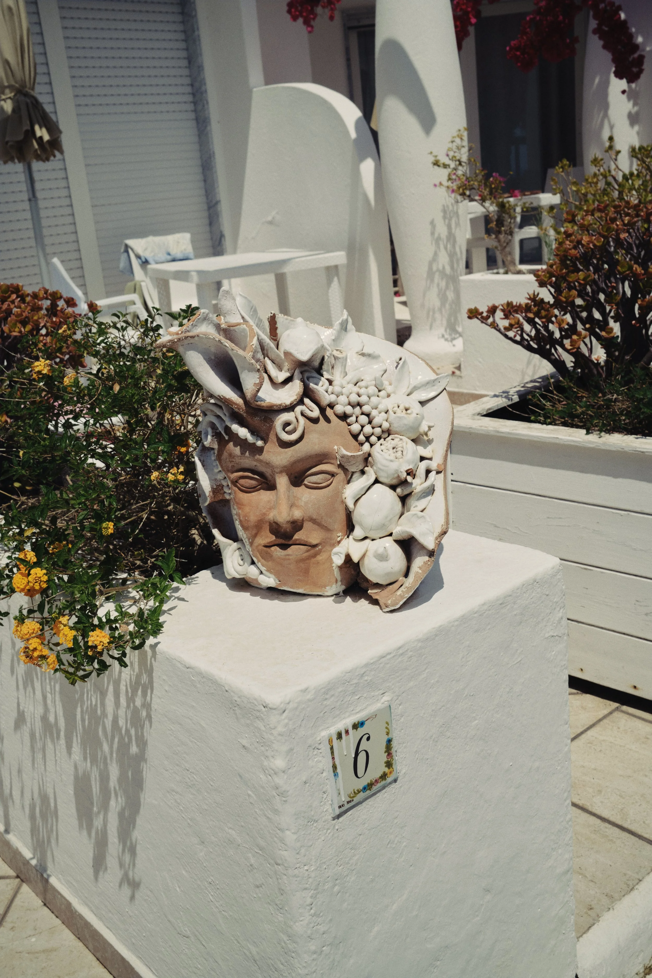 DSCF1646.jpg