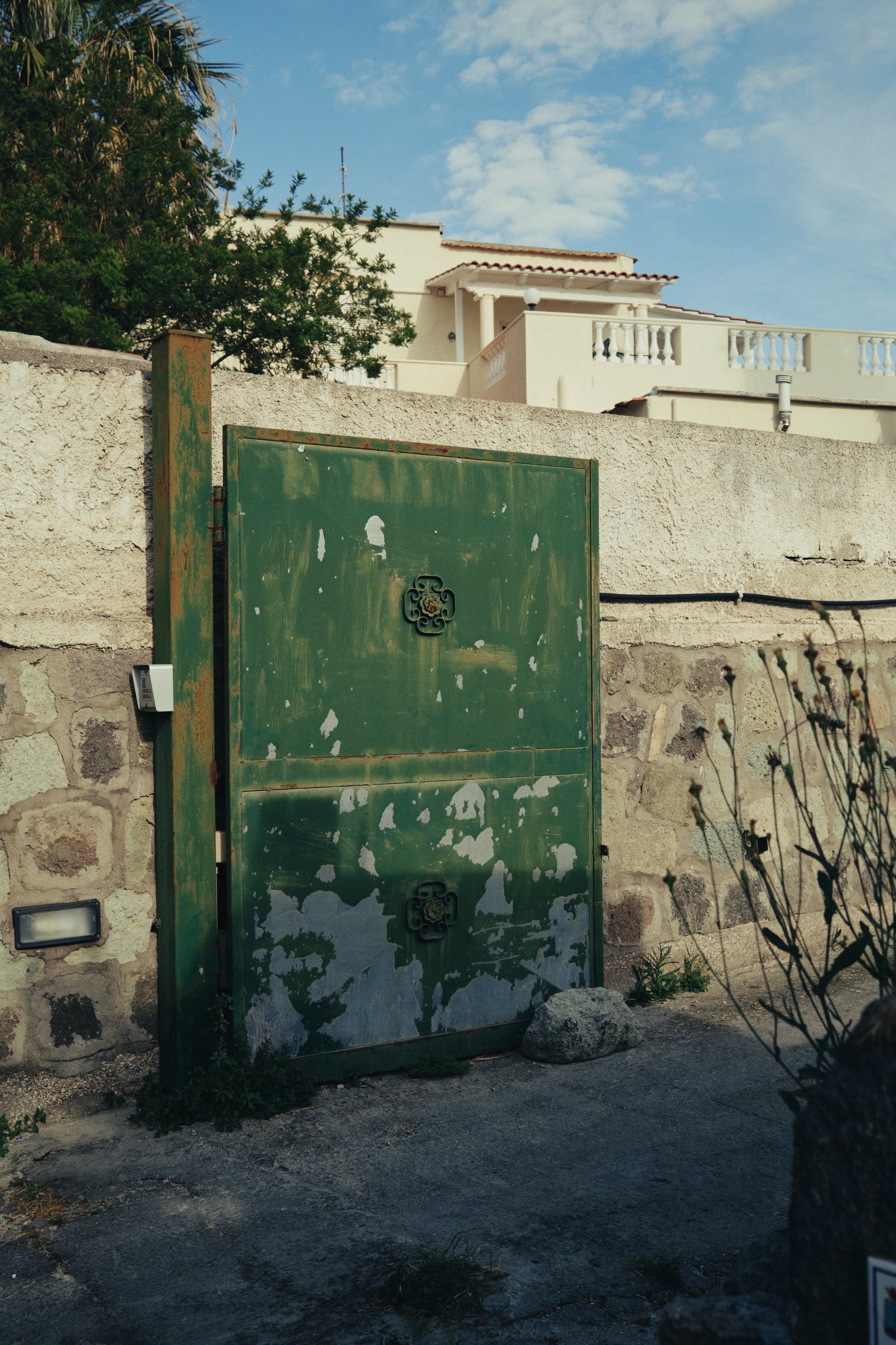 DSCF1814.jpg