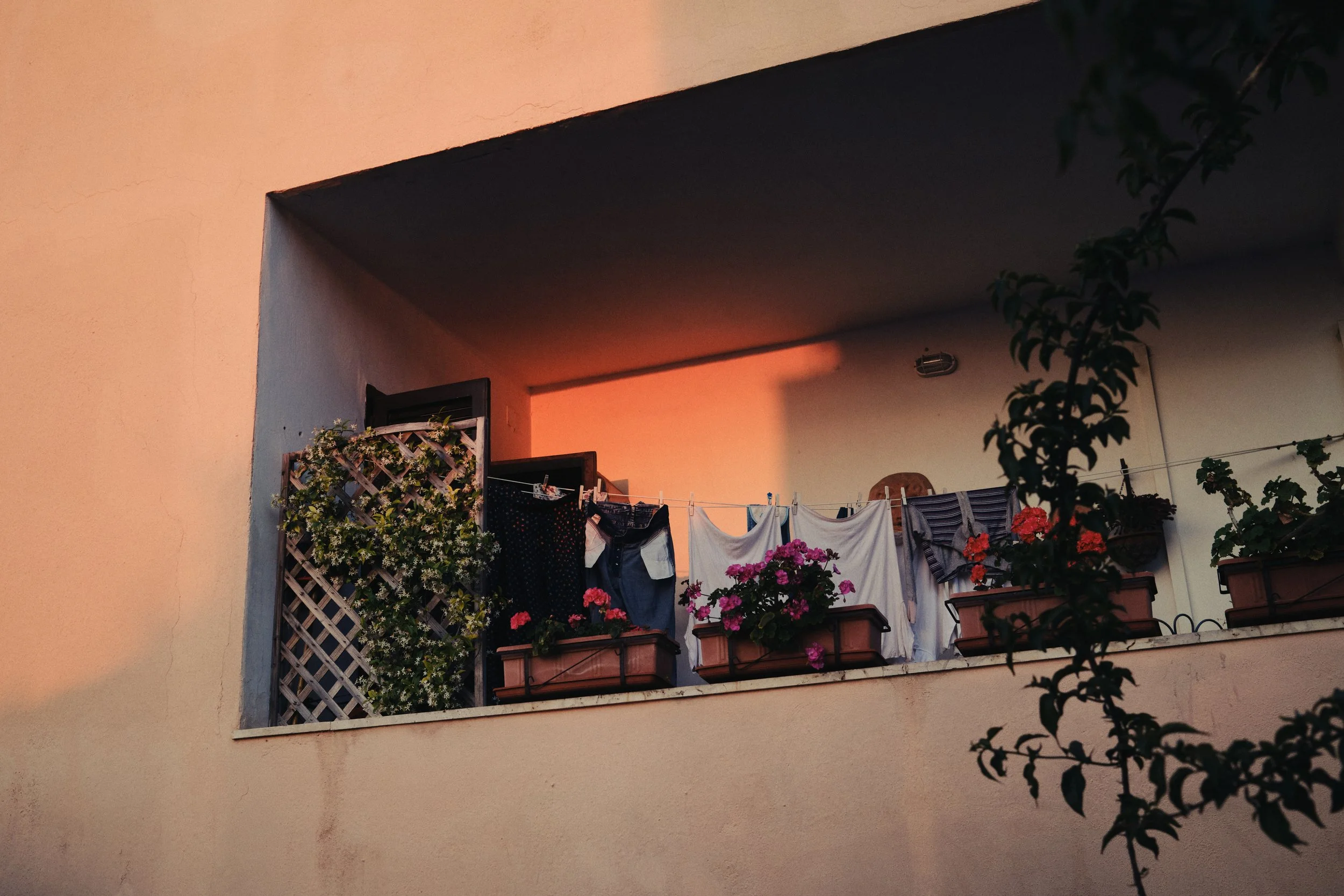 DSCF2035.jpg