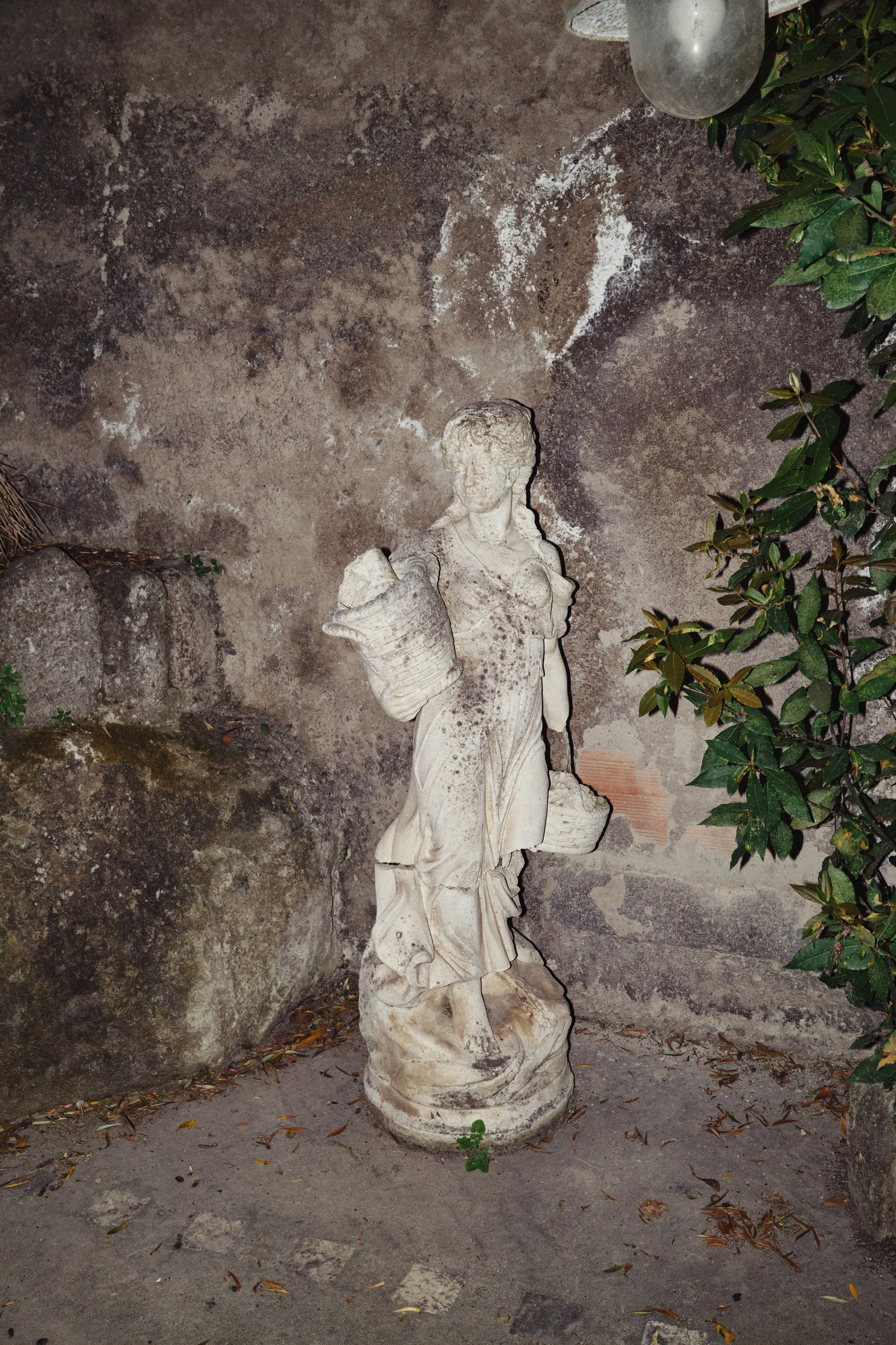 DSCF2091.jpg