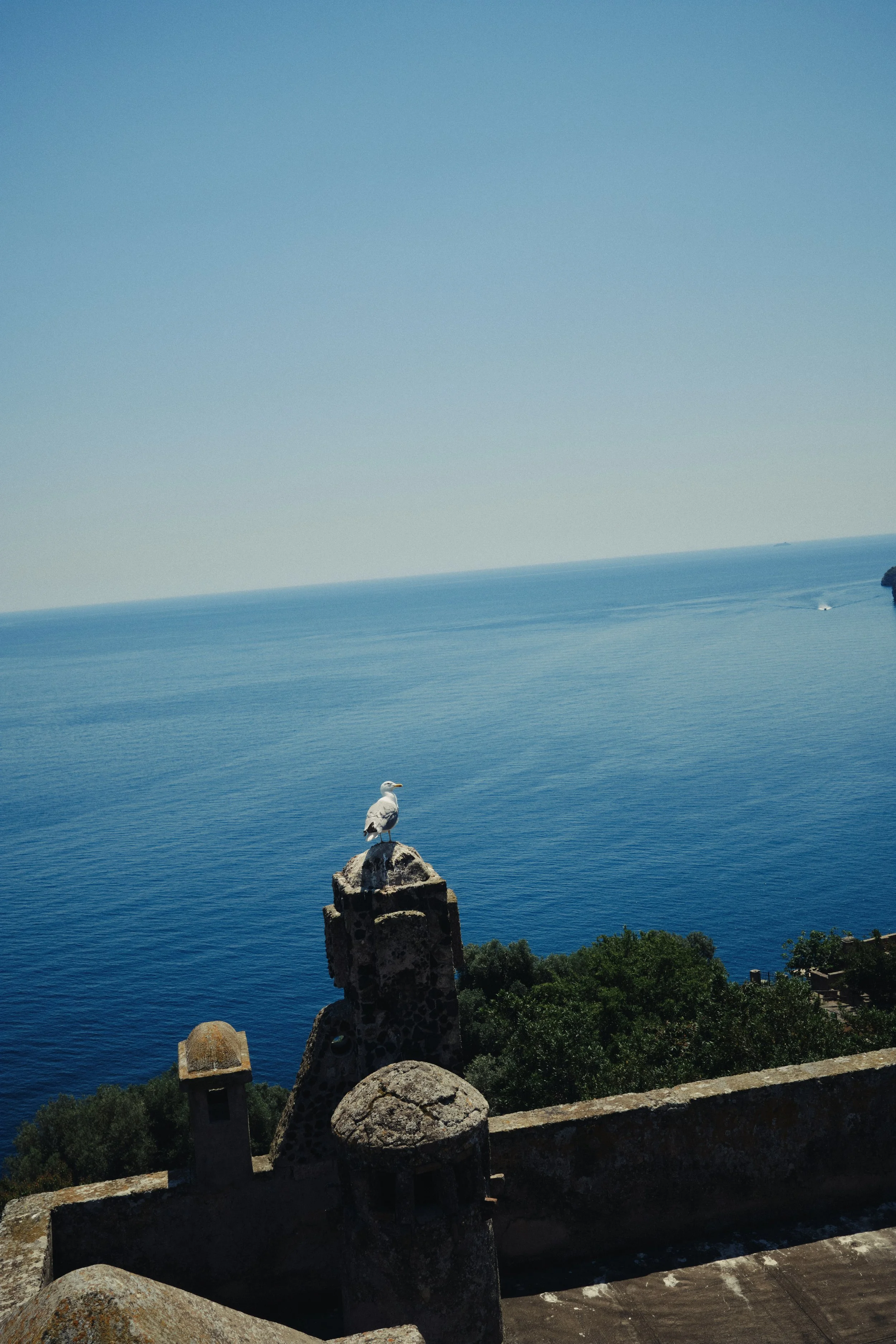 DSCF2439.jpg