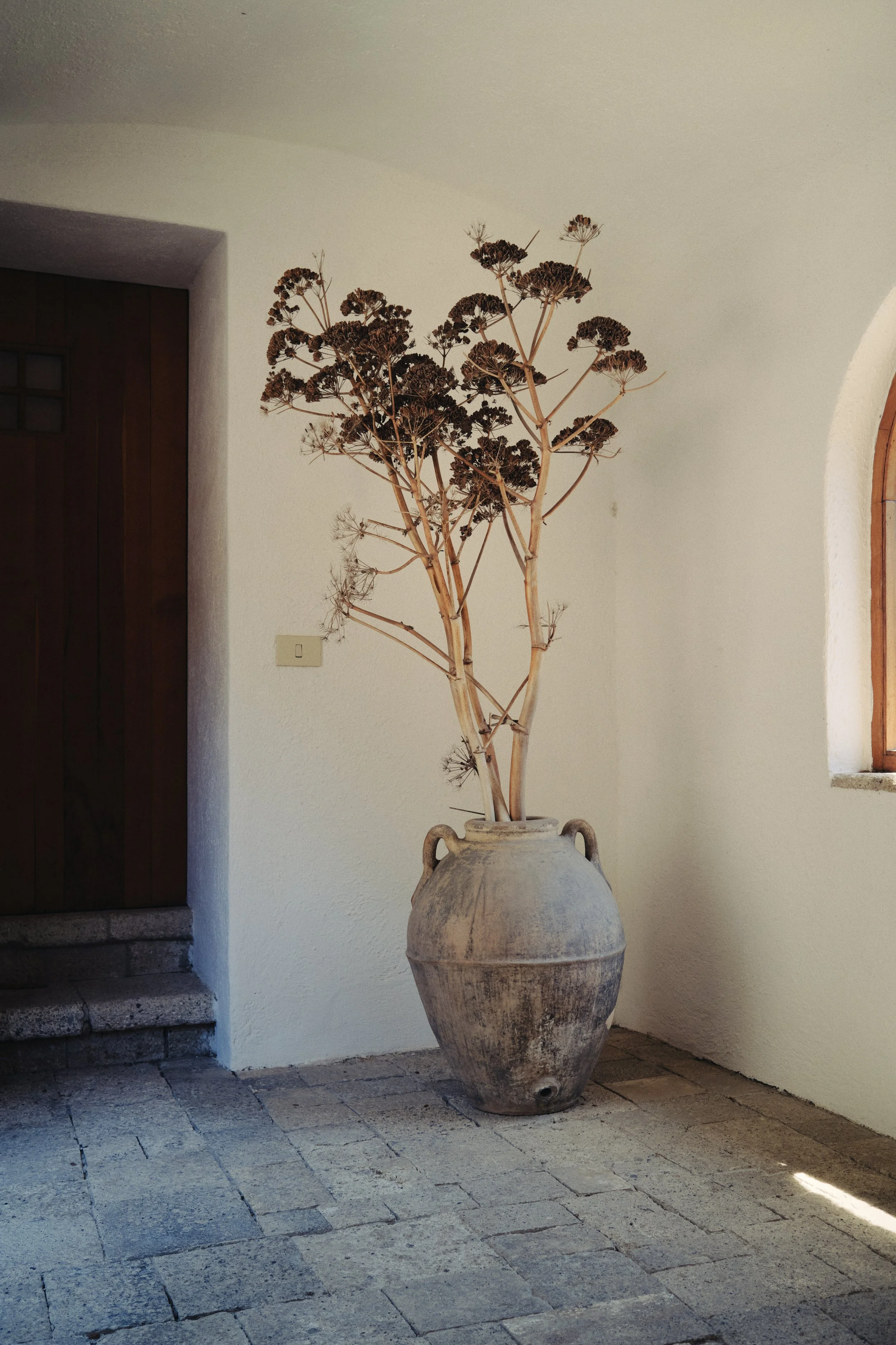 DSCF2500.jpg