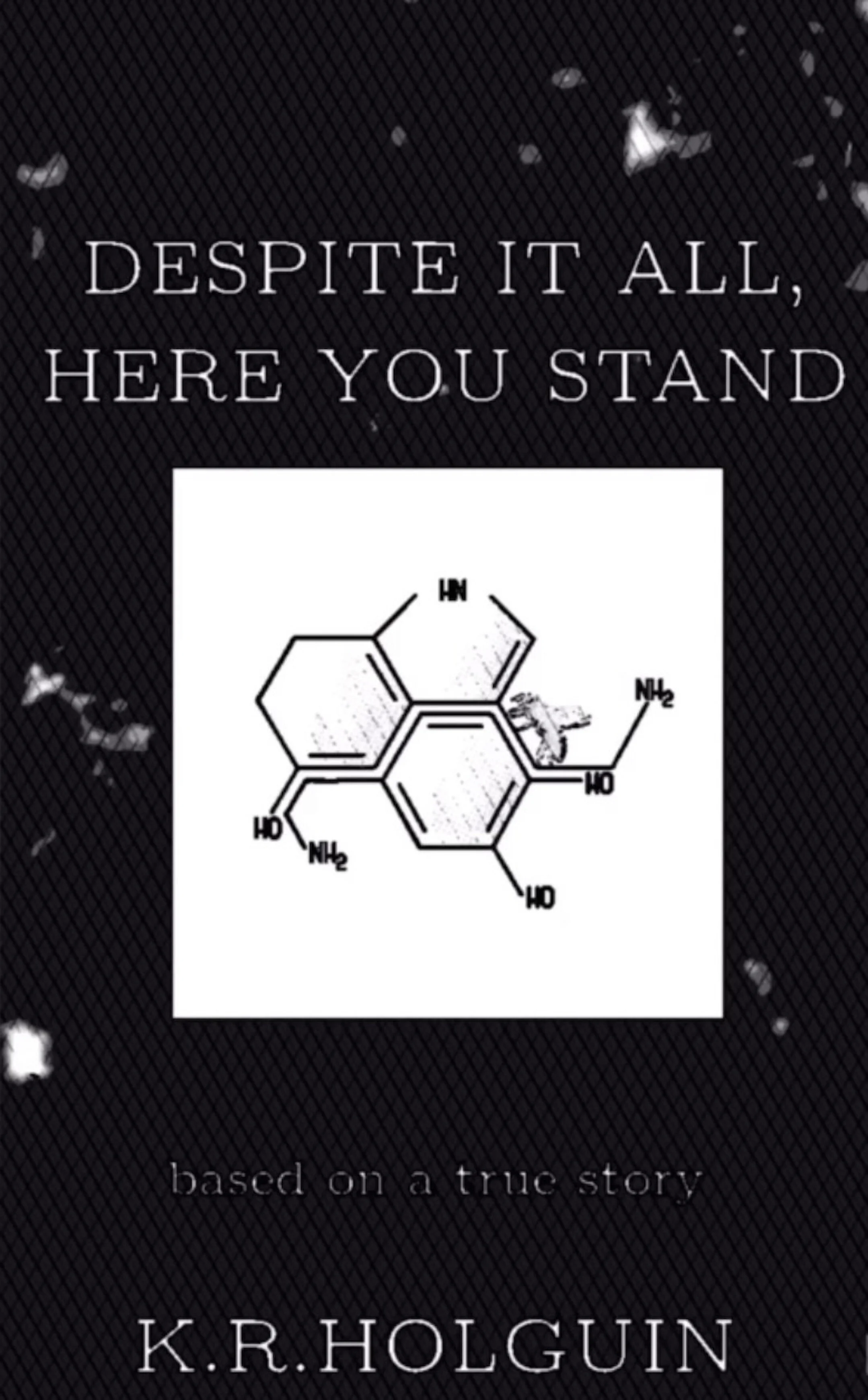Bookcover formatted.jpeg
