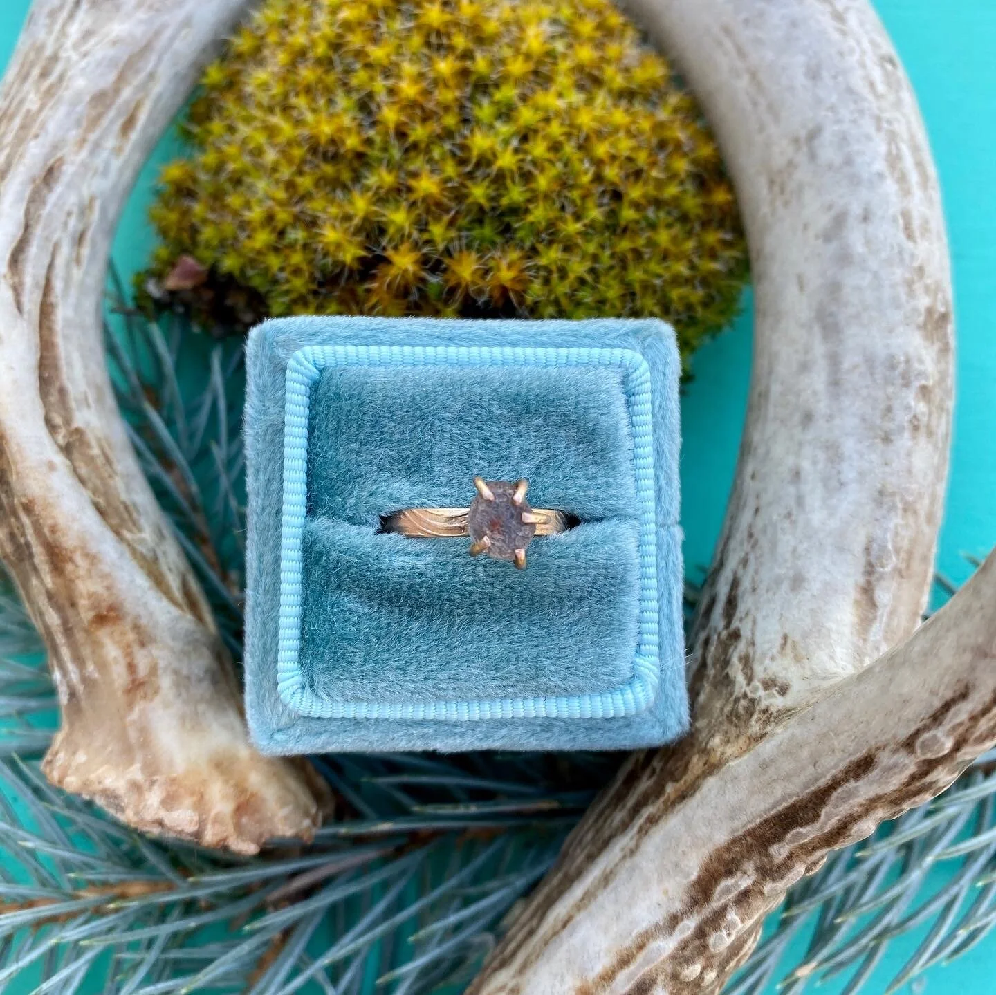 8B016672-F33A-48C5-BCA2-106F09C70029