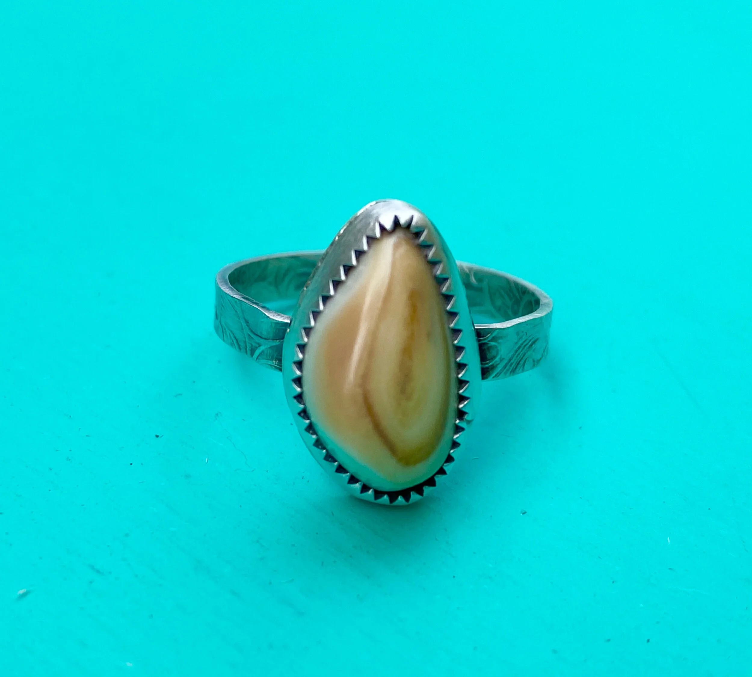 E246D283-3797-42D5-897C-ABCD40A59AC5