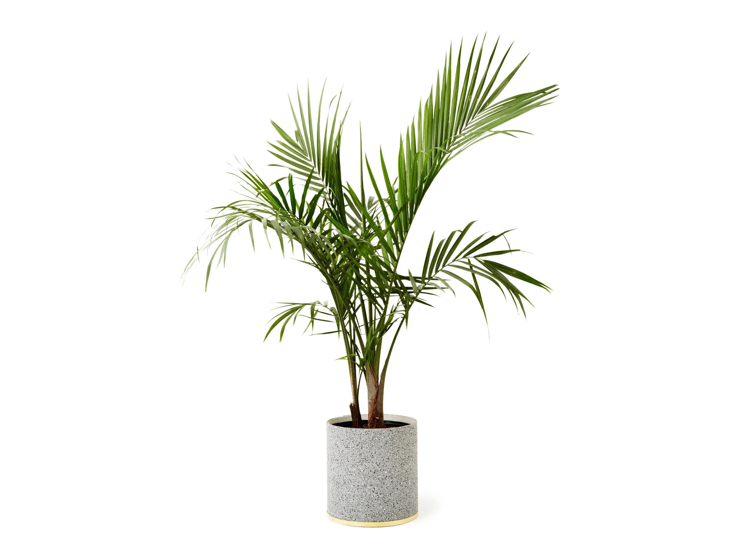 SlashObjects_Planter_Gris.jpg