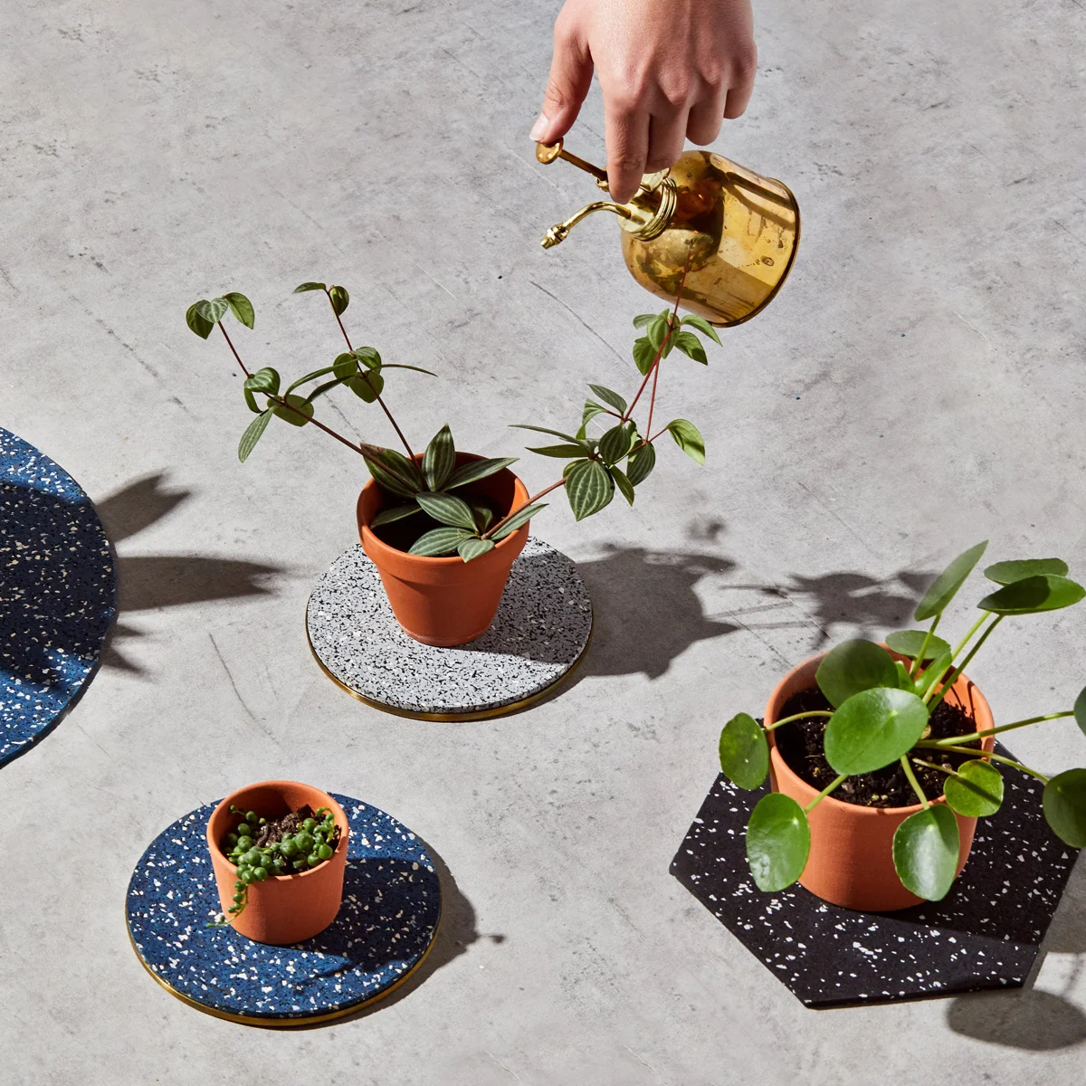 Slash-Objects-Plantlife-sq_web.jpg