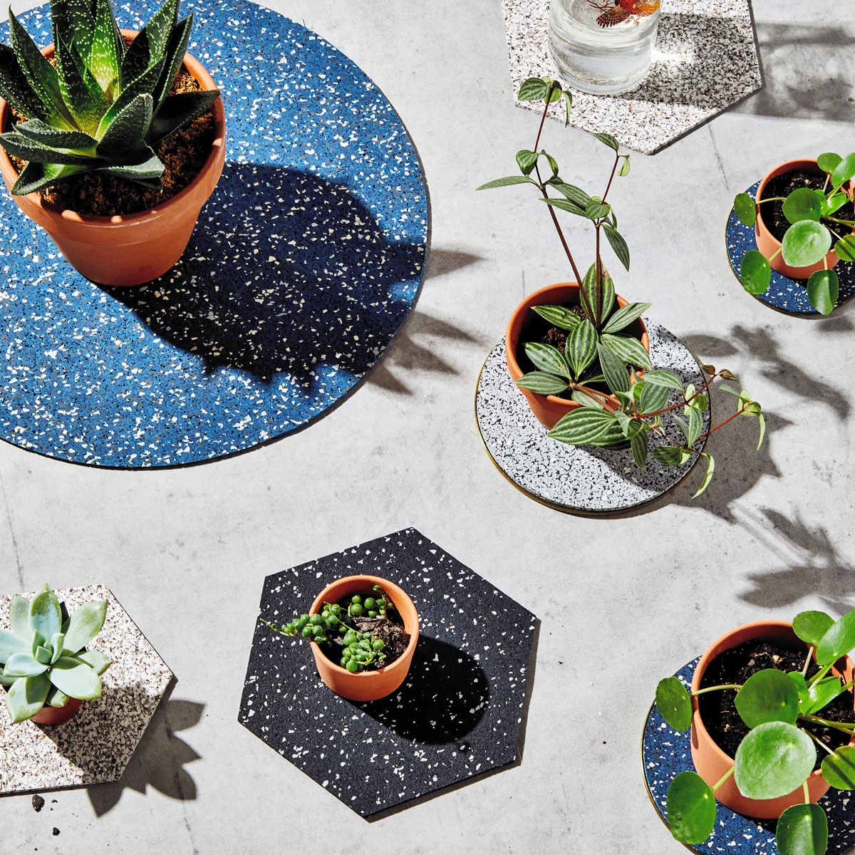 Slash-Objects-Plantlife-2-sq_web.jpg