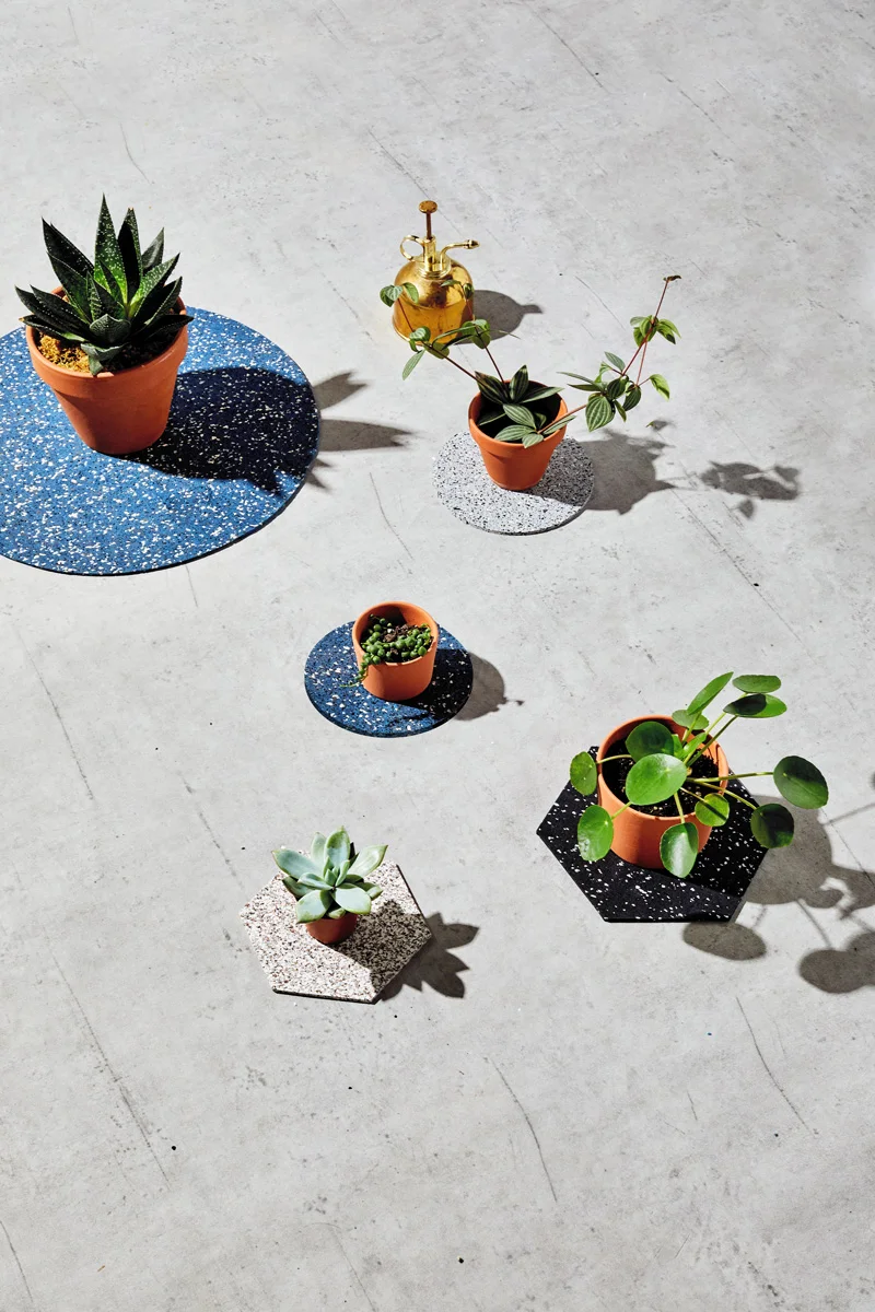 TR6-Plants_SlashObjects_web.jpg