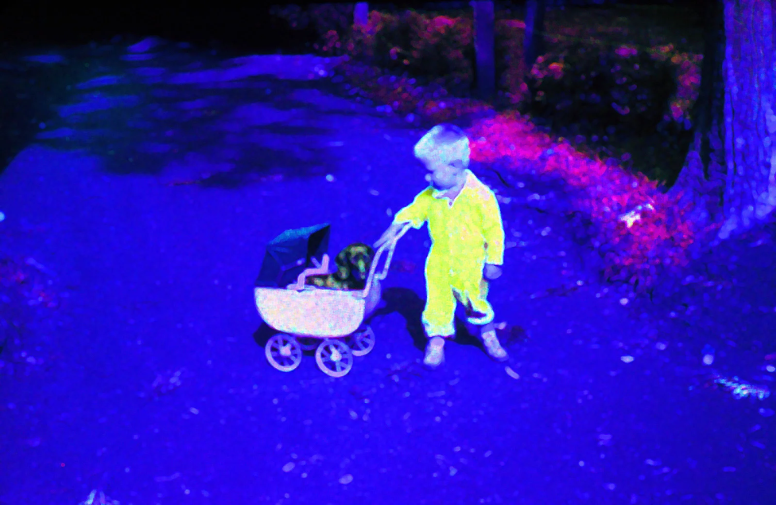 749 mike and cinder in a buggy.jpg