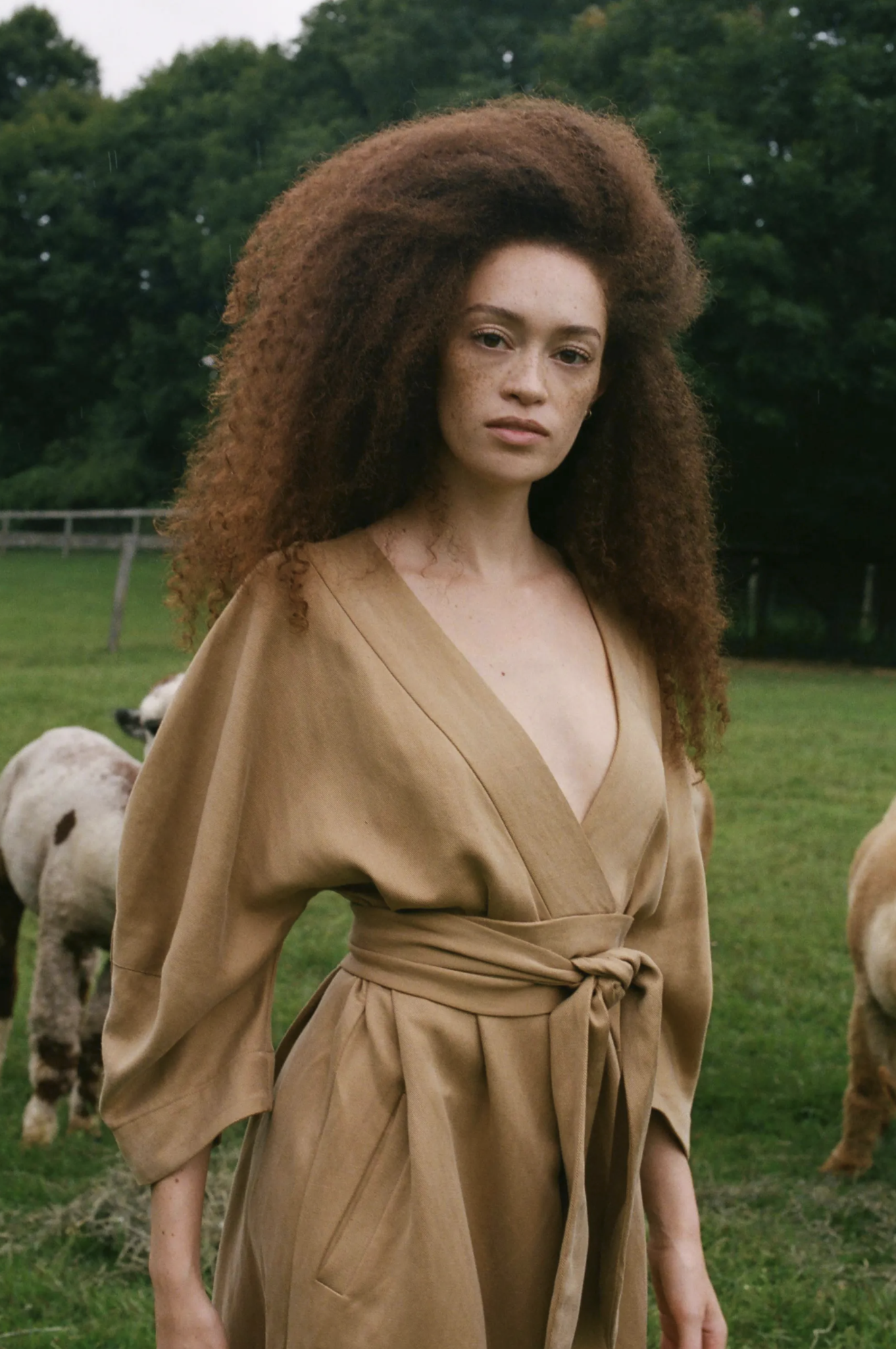 Screen Shot 2021-09-26 at 1.50.01 PM.png