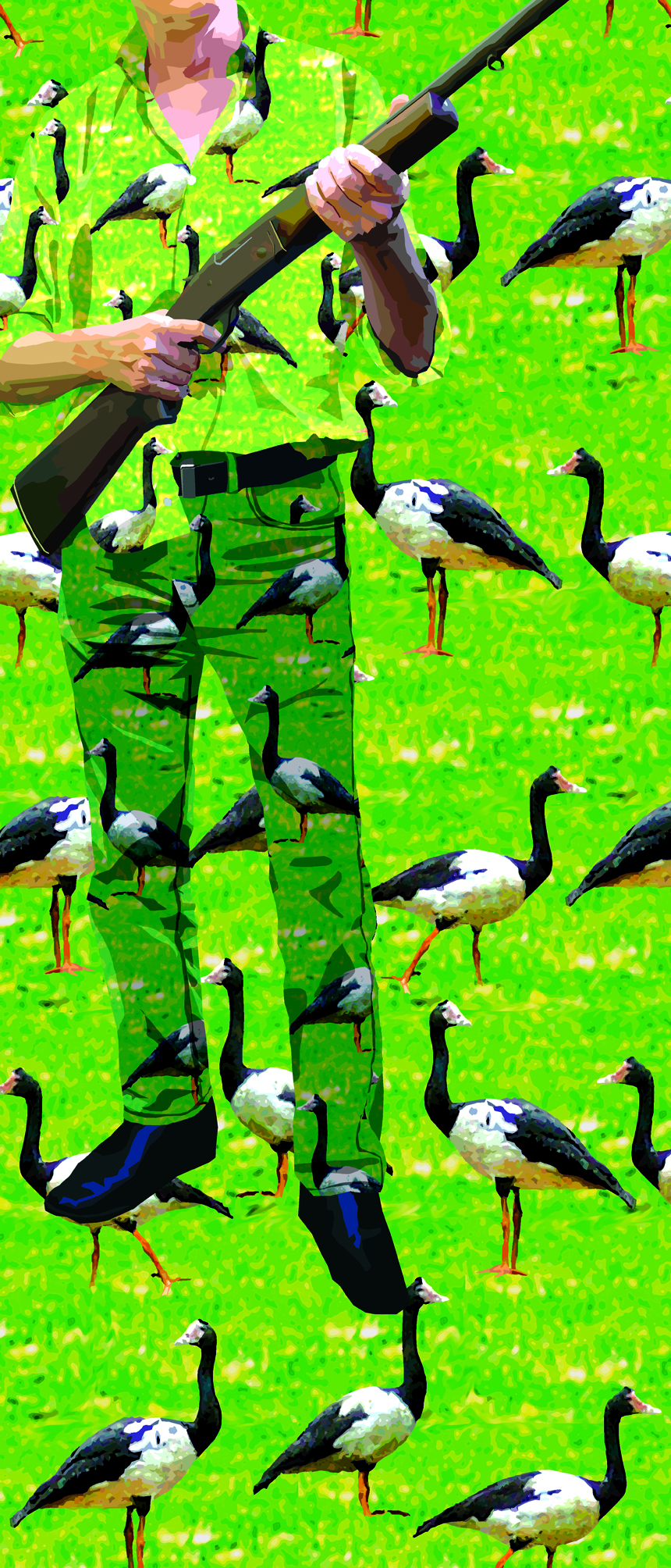 Camoflauge.ChipsMackinolty.jpg