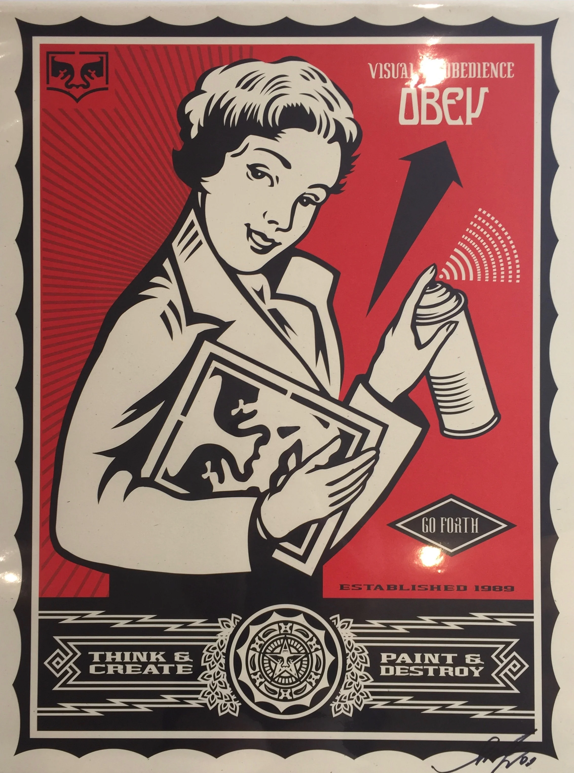 Punk Pioneer - Shepard Fairey