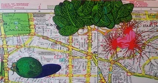 Once There Was a Really Big Feijoa Tree Right in the Middle of Darlinghurst... and Other Tales