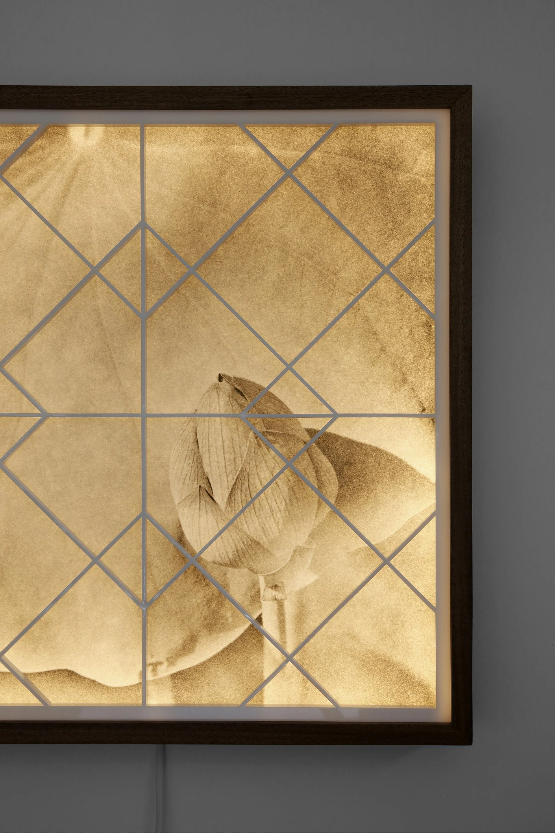 Dream Windows - Opening Night