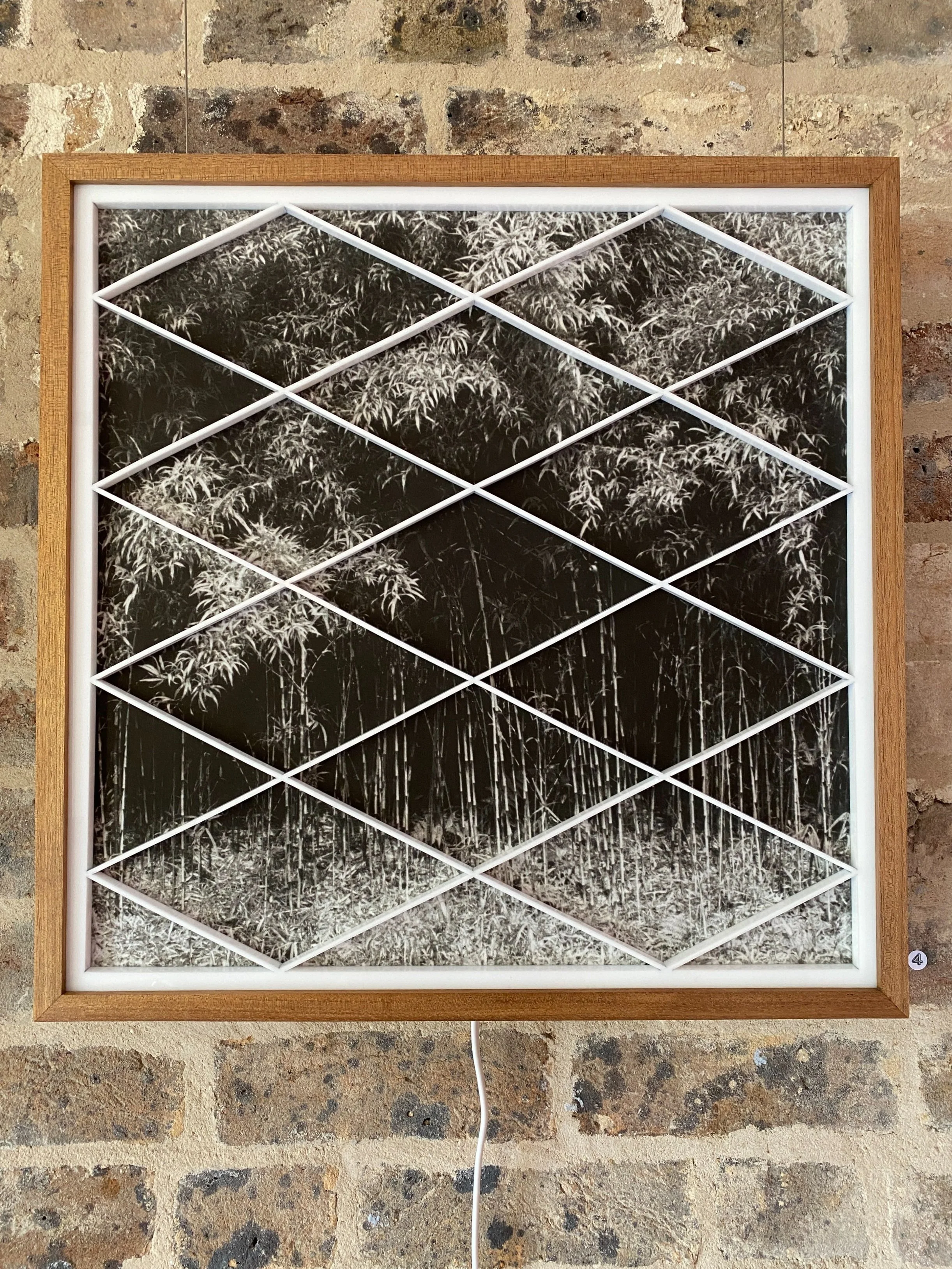 Bamboo - Marta Wawrzyniak-Ijichi