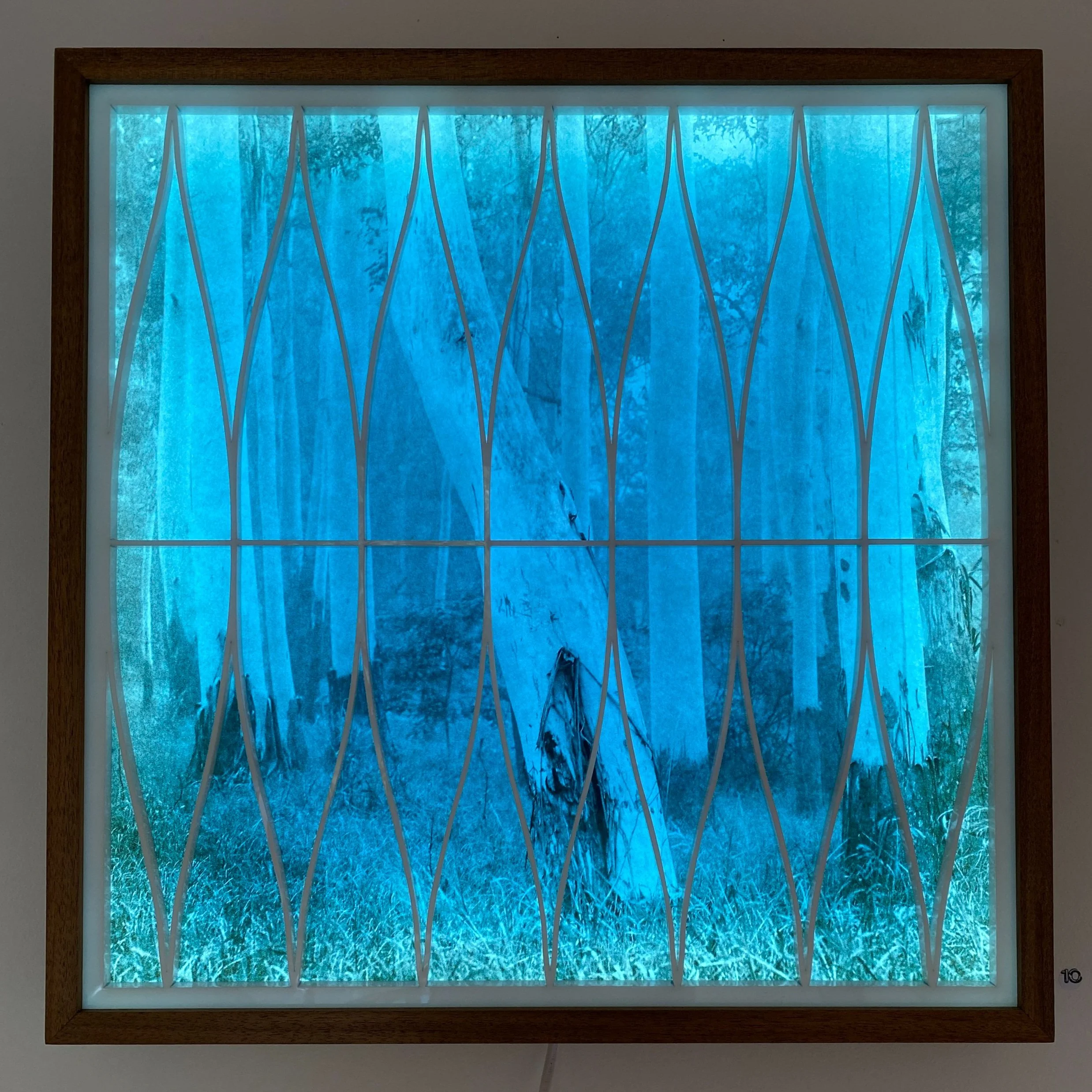 Marta Wawrzyniak Ijichi