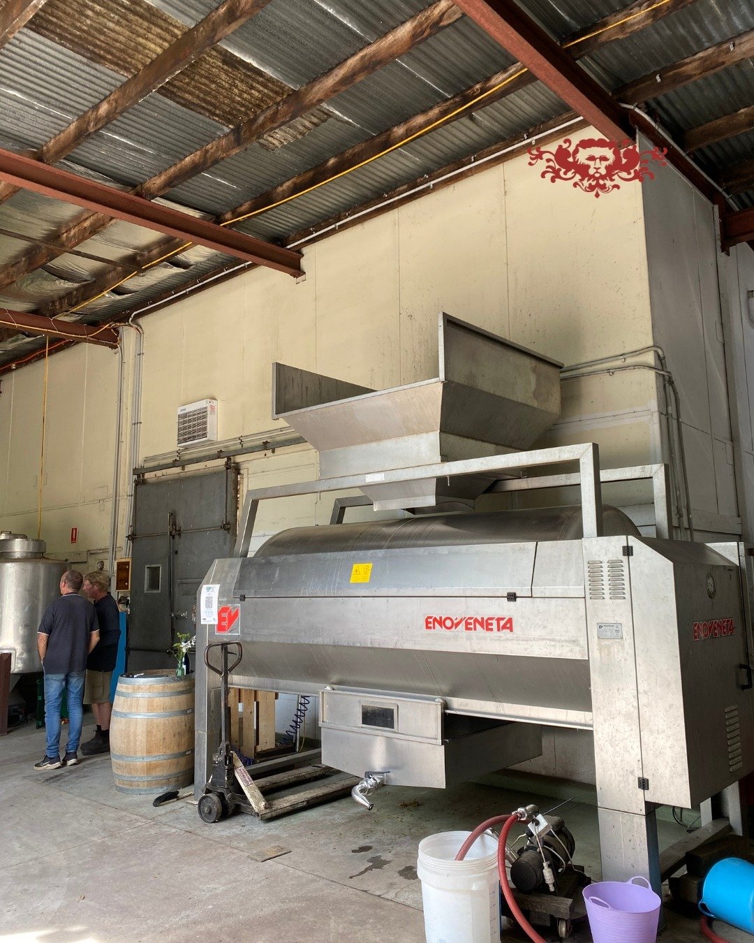 The Mighty Press putting in the hard work for Vintage 24. We just have our Hillside Chardonnay to go for the season 🍇⁠
⁠
#morningtonpeninsula #mpwine #wine #cellardoor #winemaking #chardonnay⁠
