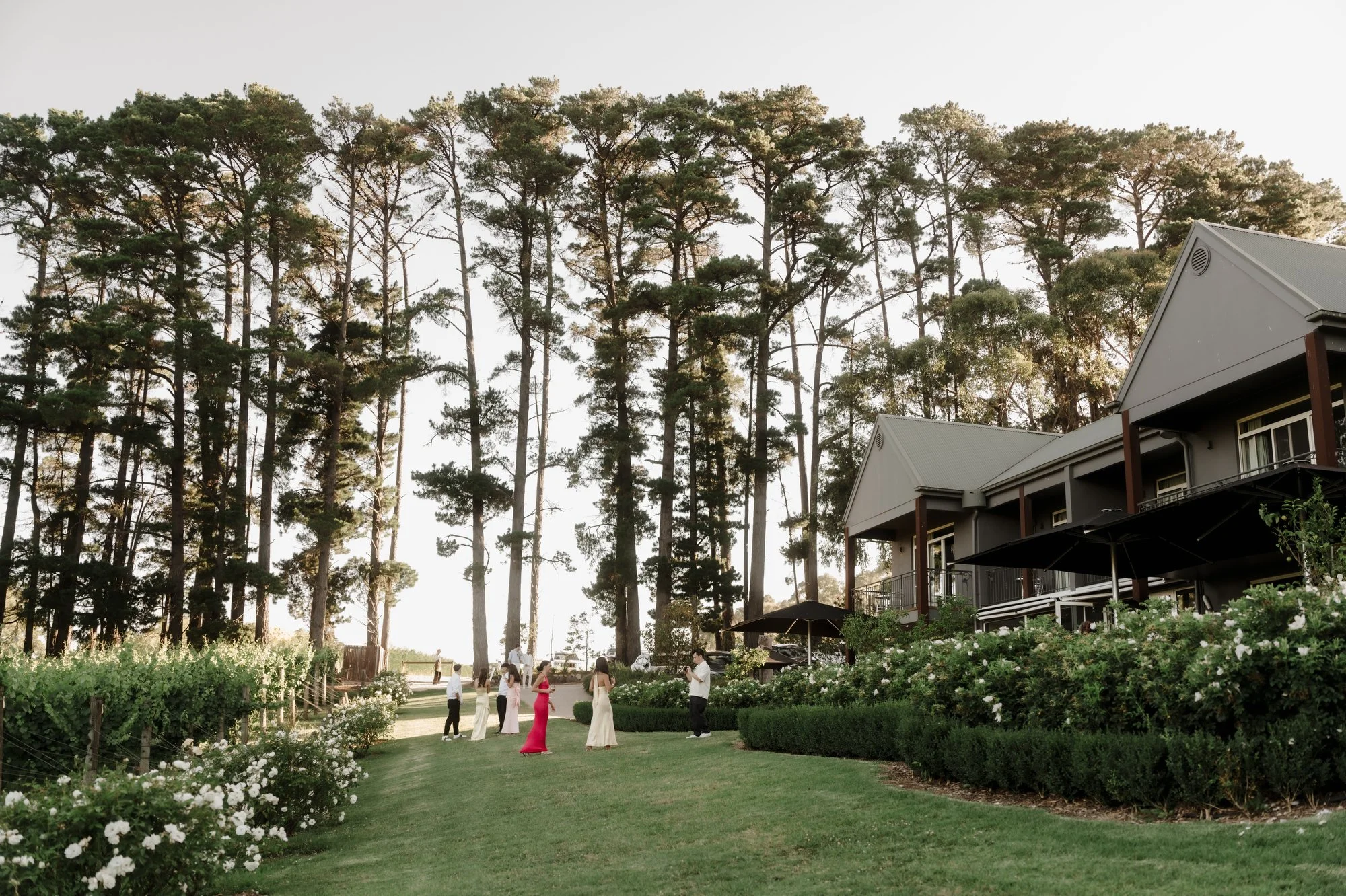 Intimate Weddings at Mantons Creek Estate: A Fresh Chapter for a Hidden Peninsula Gem
