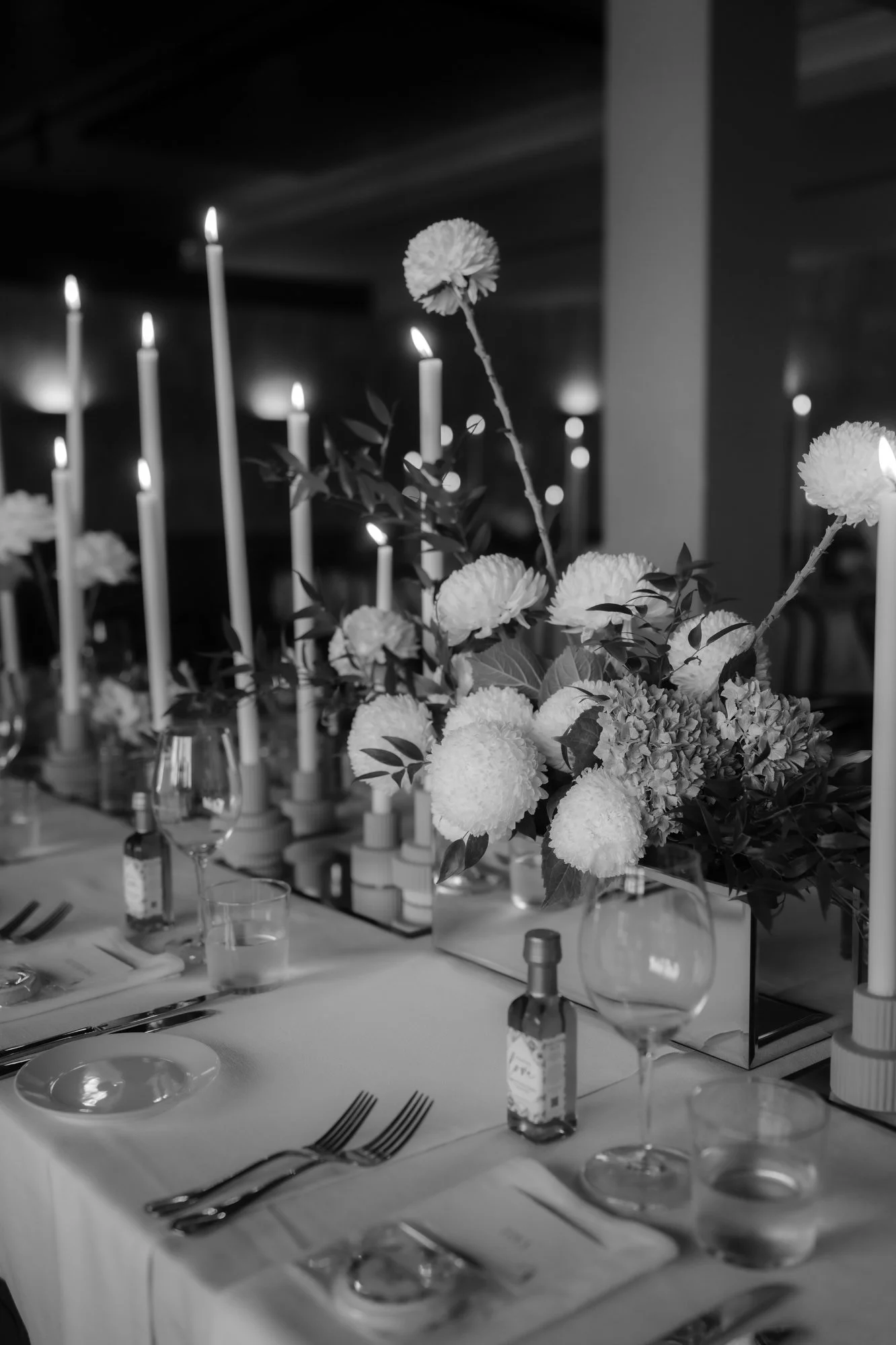 Ever After Effect x Mantons Creek Estate