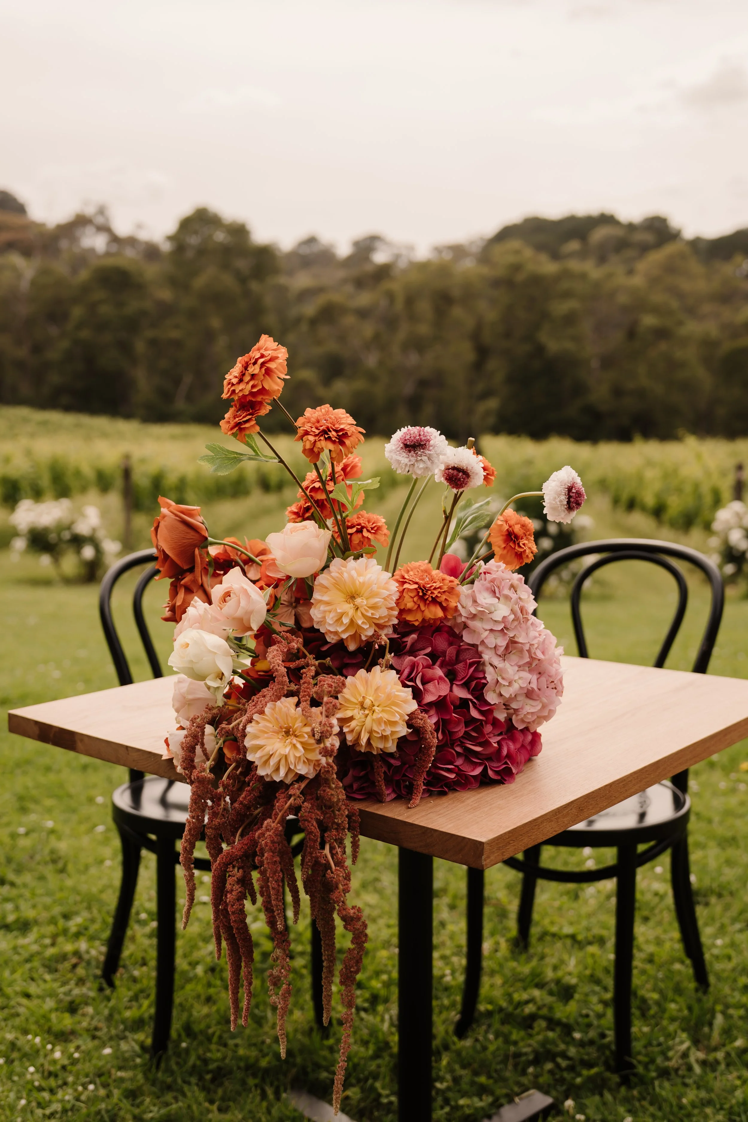 Jasminka & Nihad - Ever After Effect-8.jpg