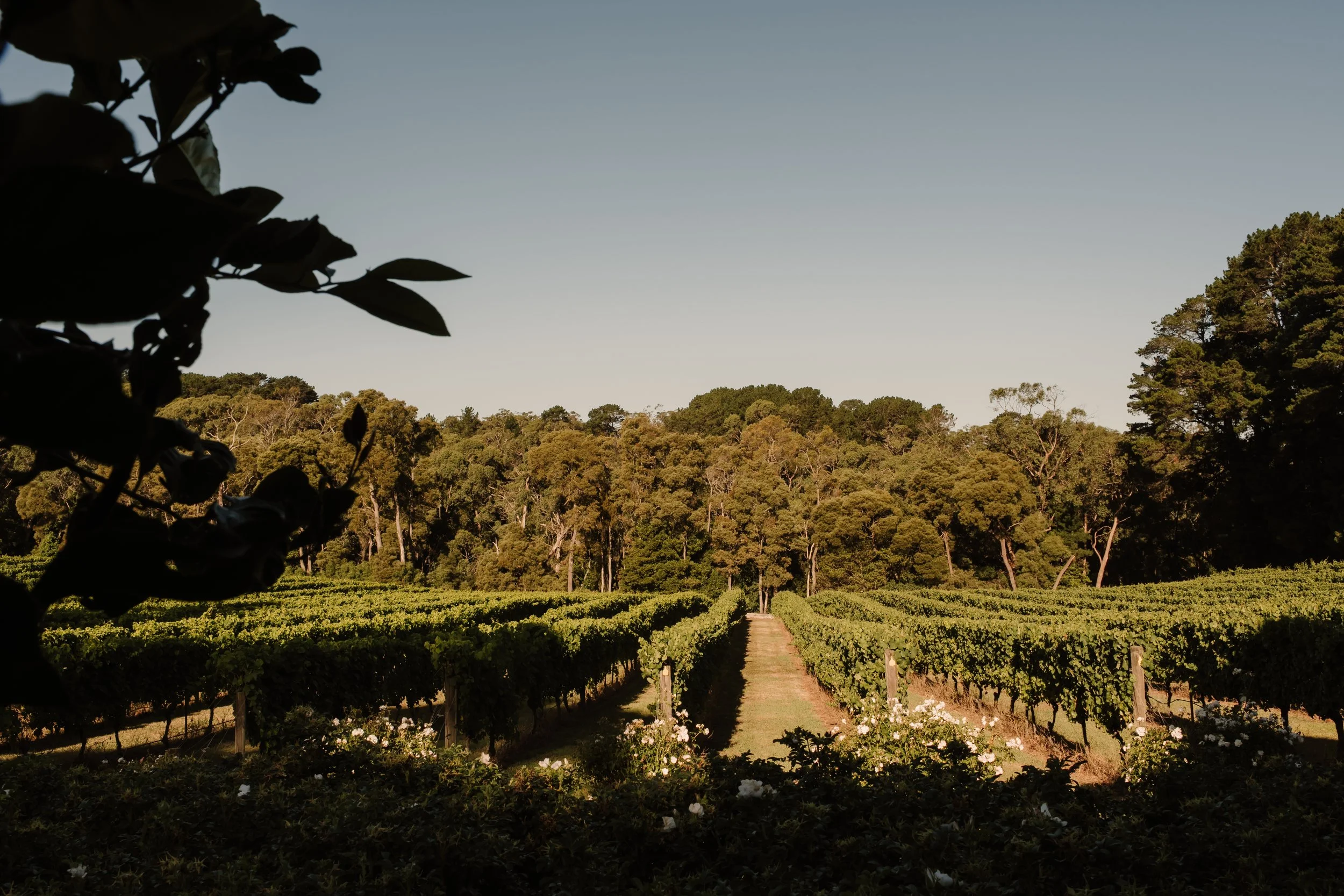 Jess & Ben - Ever After Effect-71.jpg