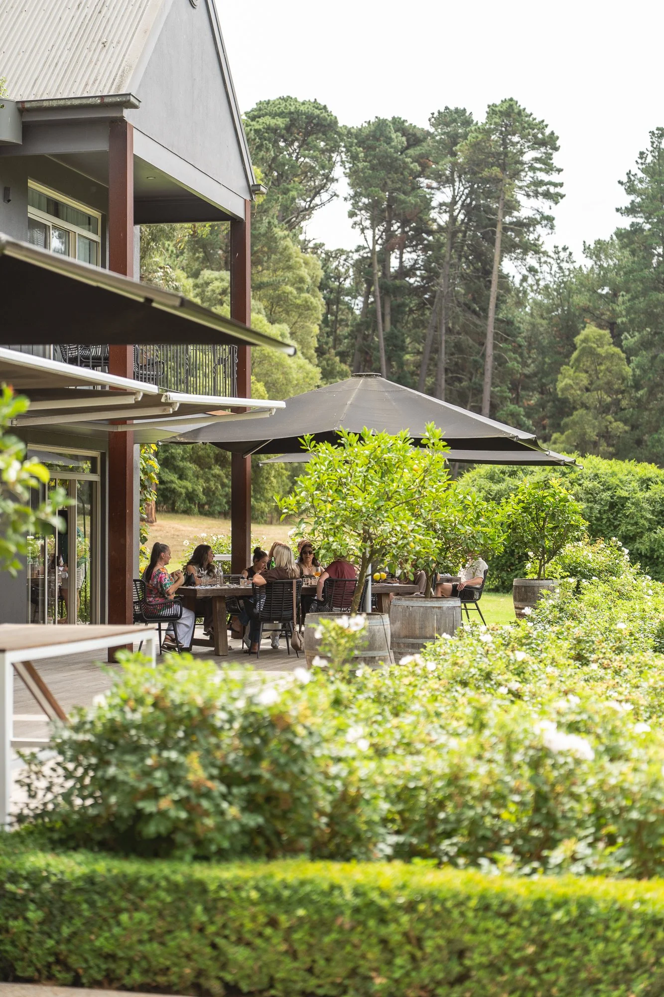 Private dining at a winery. Secluded vineyard location in Red Hill for events, hens parties, birthdays and corporate retreats