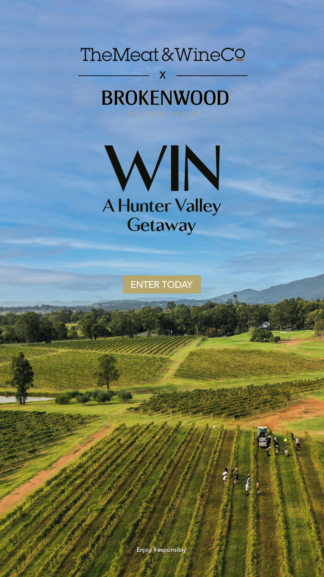 brokenwood winery_SOCIALS story c.png