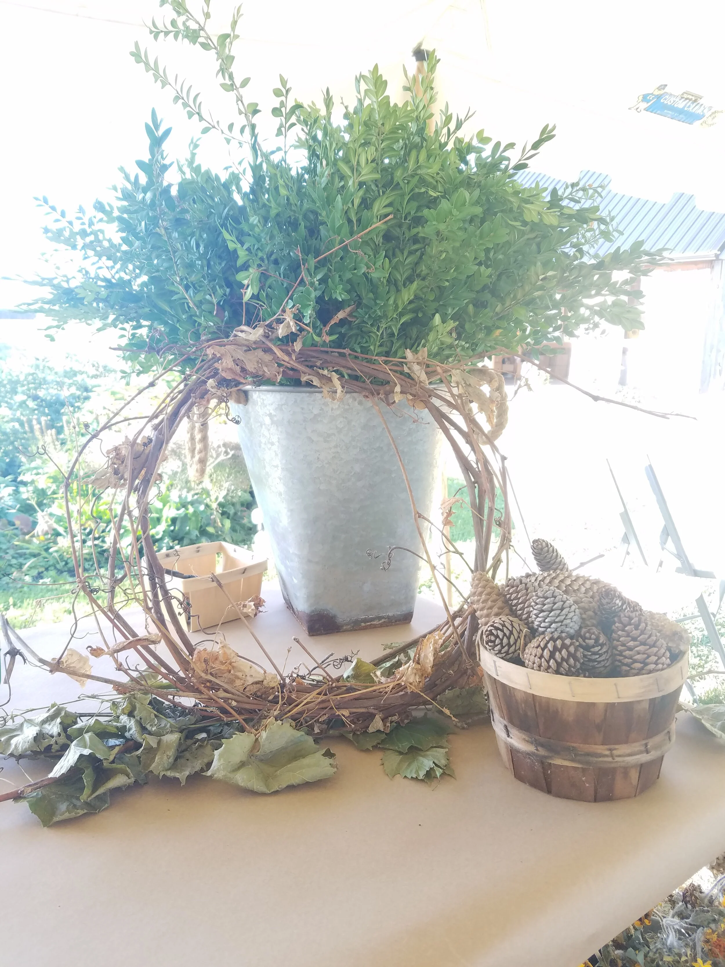 20180915_083734.jpg