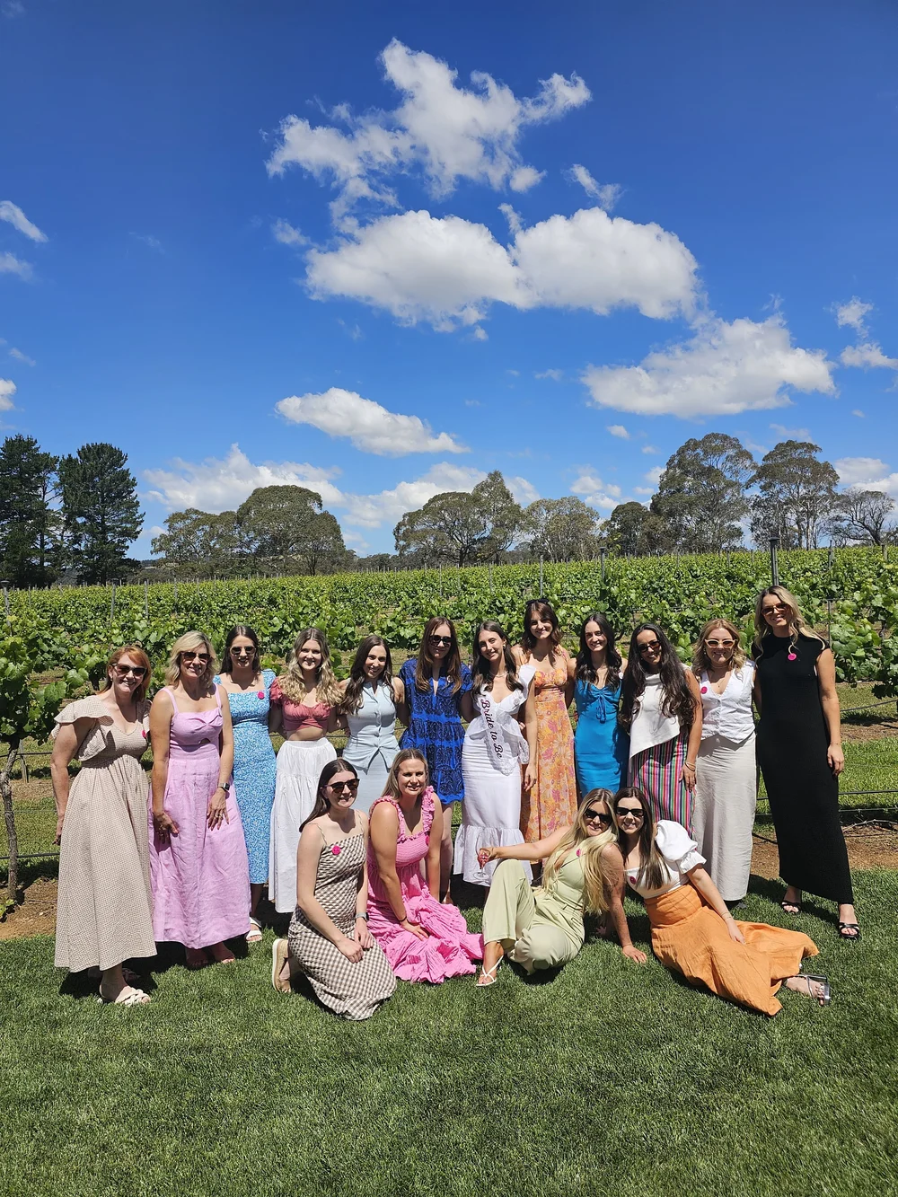 Southern Highlands 3 winery tour through Bowral