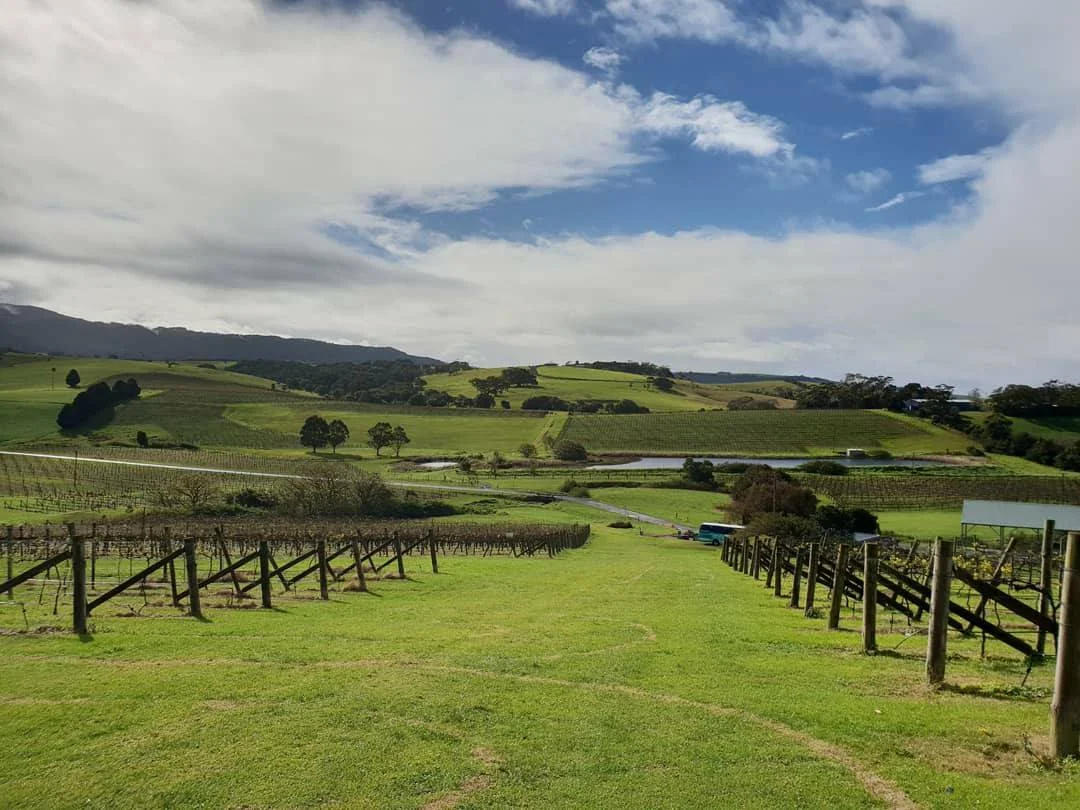 South Coast Winery