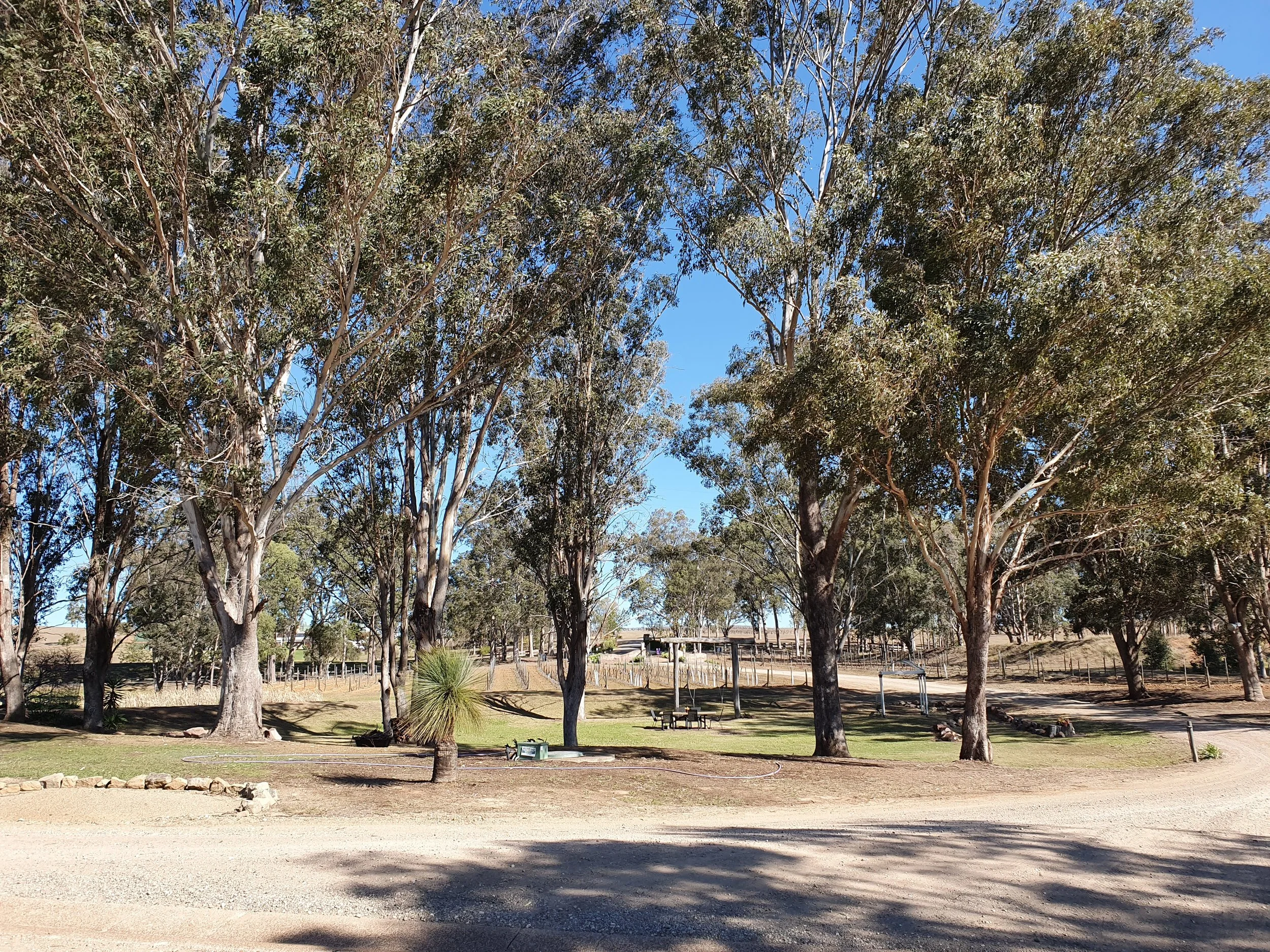 moorebank Vinyard swings.jpg