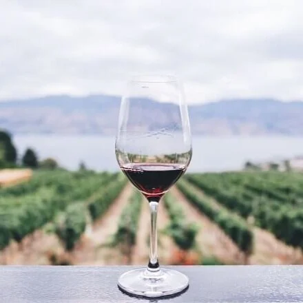 South Coast wine tour with coastal ocean views