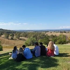 Hunter Valley wine country from above